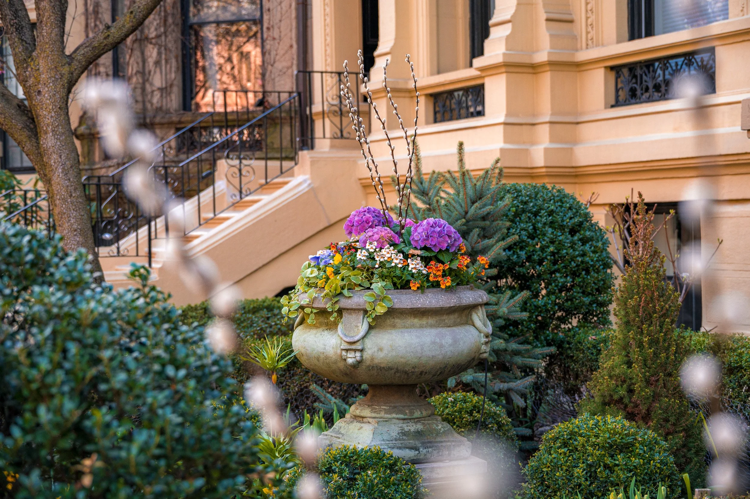 Hydrangea and wildflower urn on brownstone steps