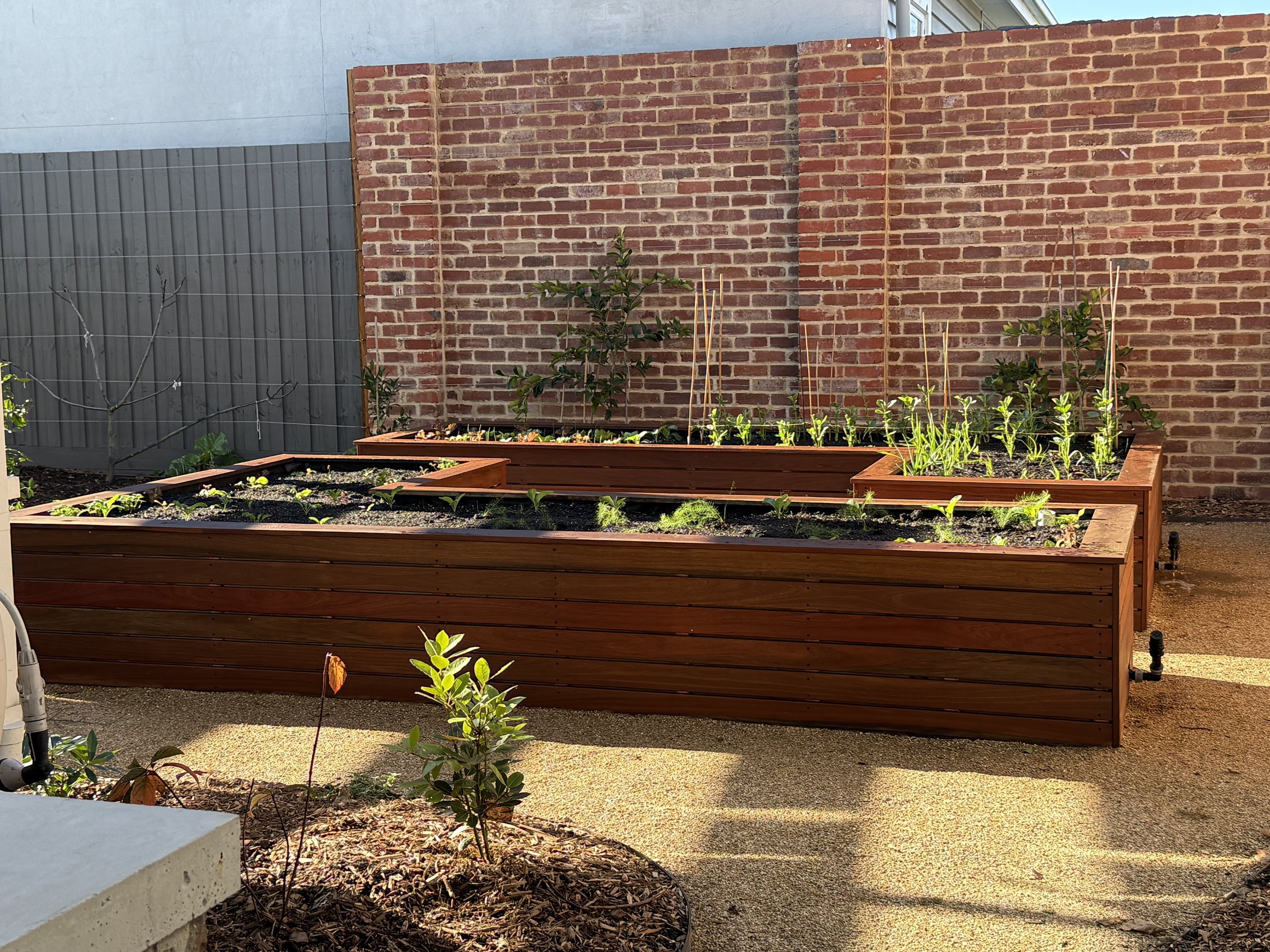 Brick wall behind timber planter boxes