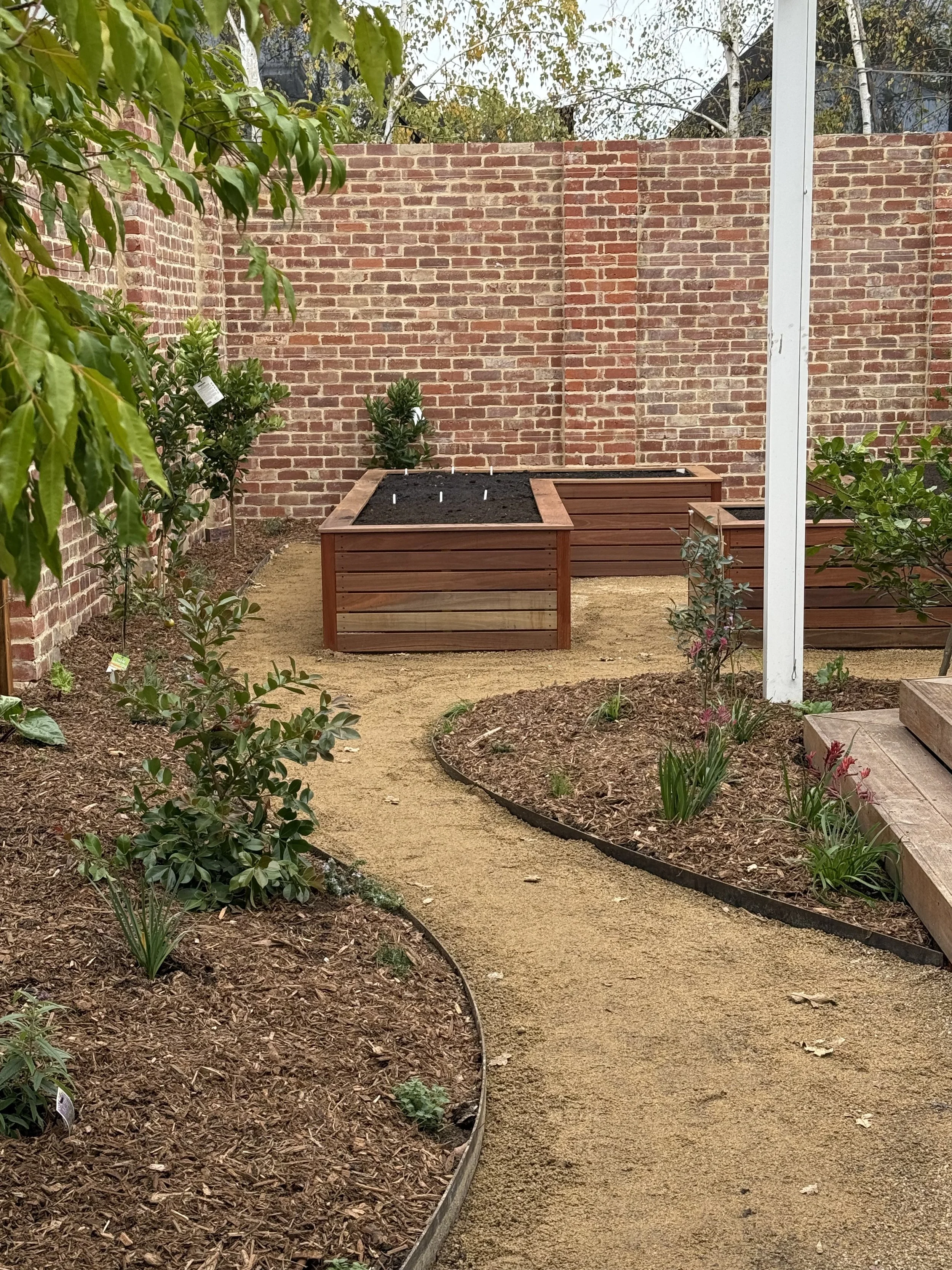 A garden scene with a curved dirt path, raised timber garden beds with soil, small plants, a brick wall in the background, trees, and shrubs surrounding the area.