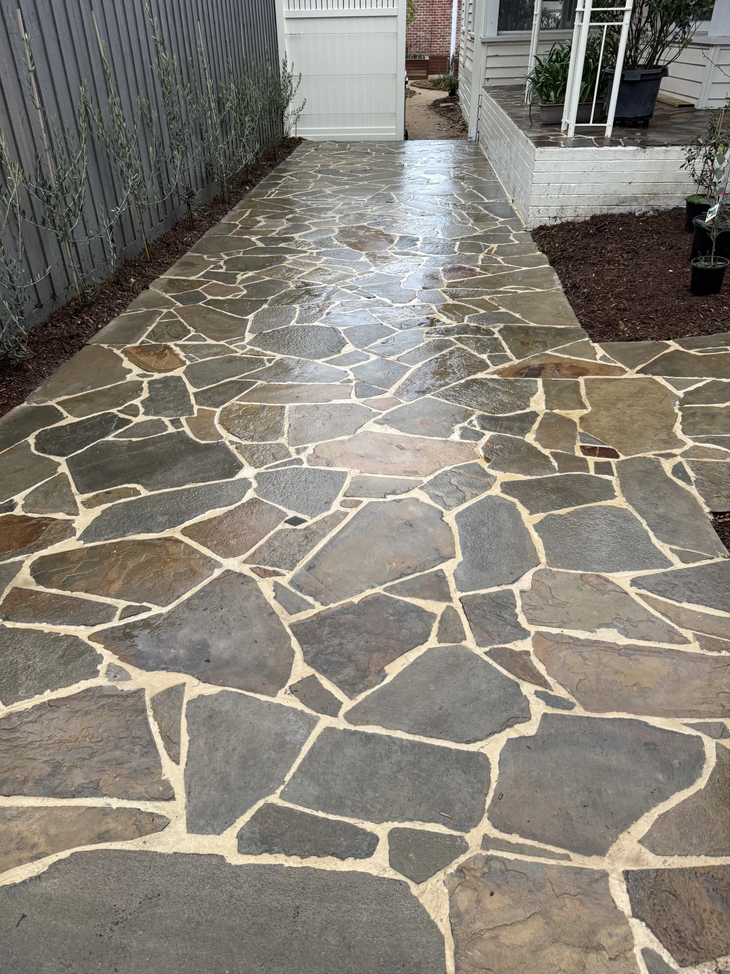 A wet path made from castlemaine pavers and concrete patio with a narrow garden bed with small plants on the left side and a raised concrete porch with potted plants and a white railing on the right side.