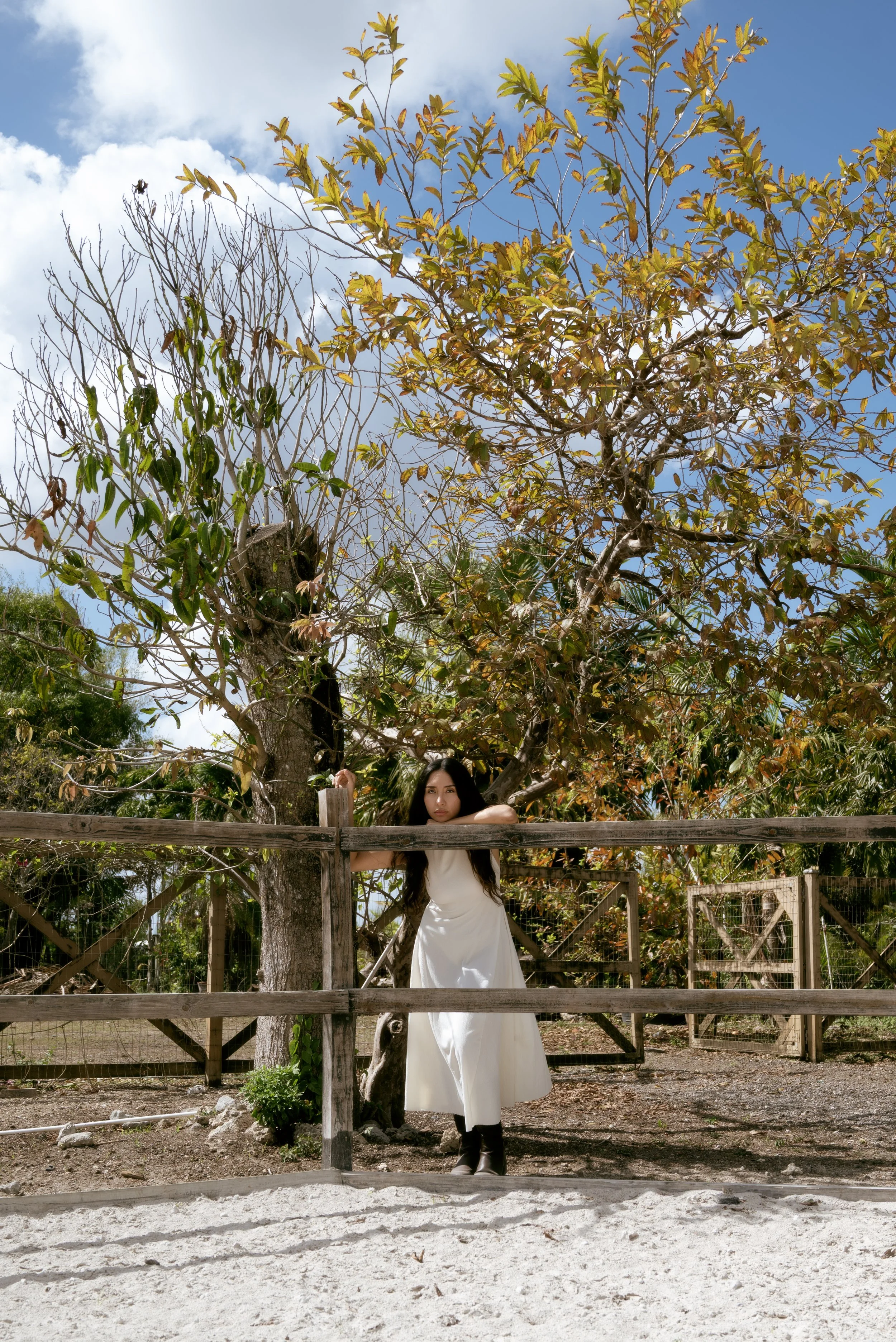 DSC_7191 copy.jpg