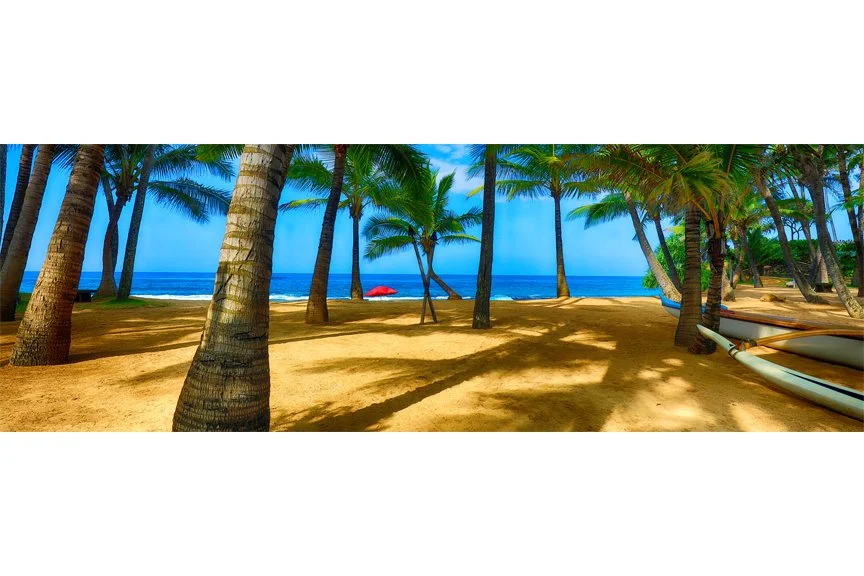 Coconut Grove