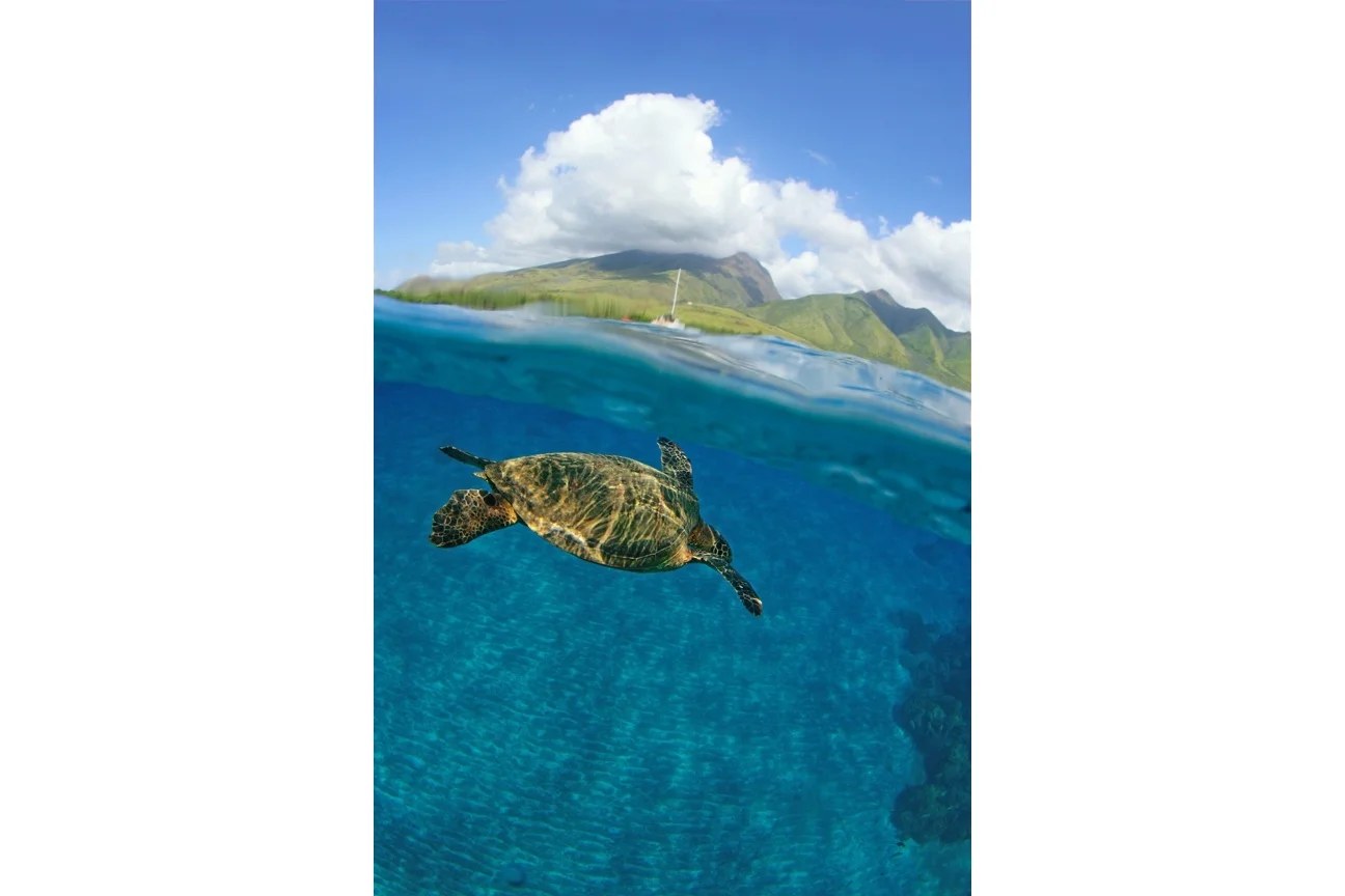 Turtle Island