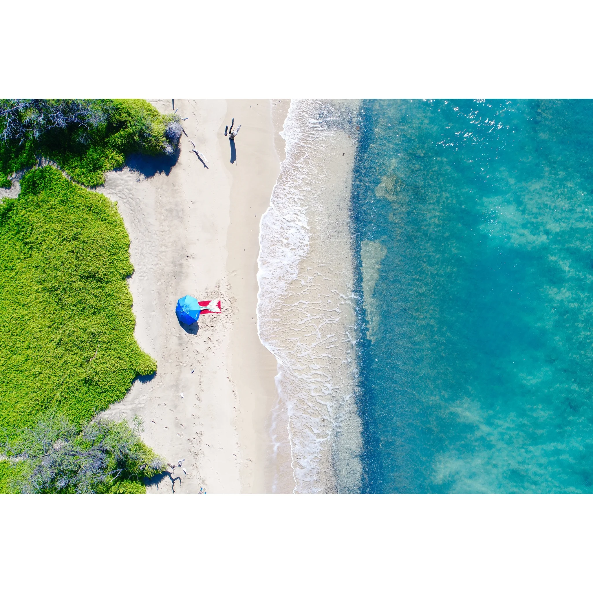 A Mermaid’s Holiday 