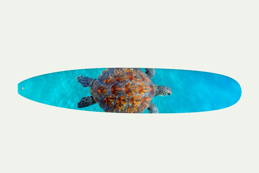 Ocean Jewel Longboard