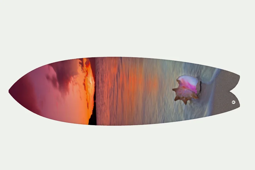 susetboardtop.jpg
