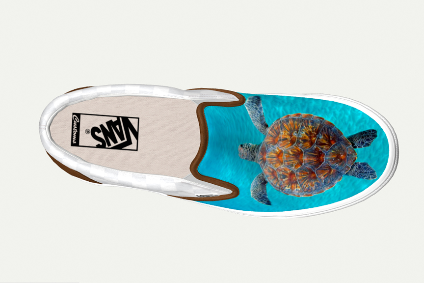 turt2.jpg