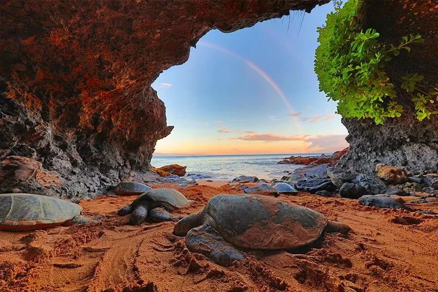 turtlerainbowcave.jpg