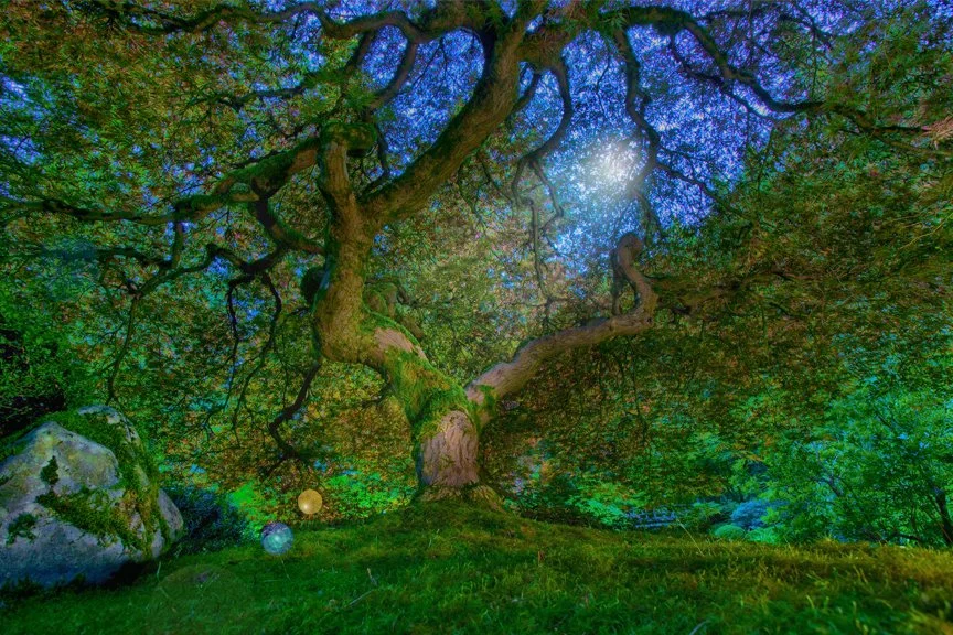 Verdant