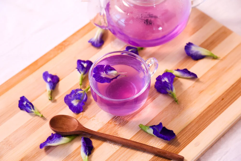 Butterfly Pea Tea And Its Health Benefits Mia Style Space