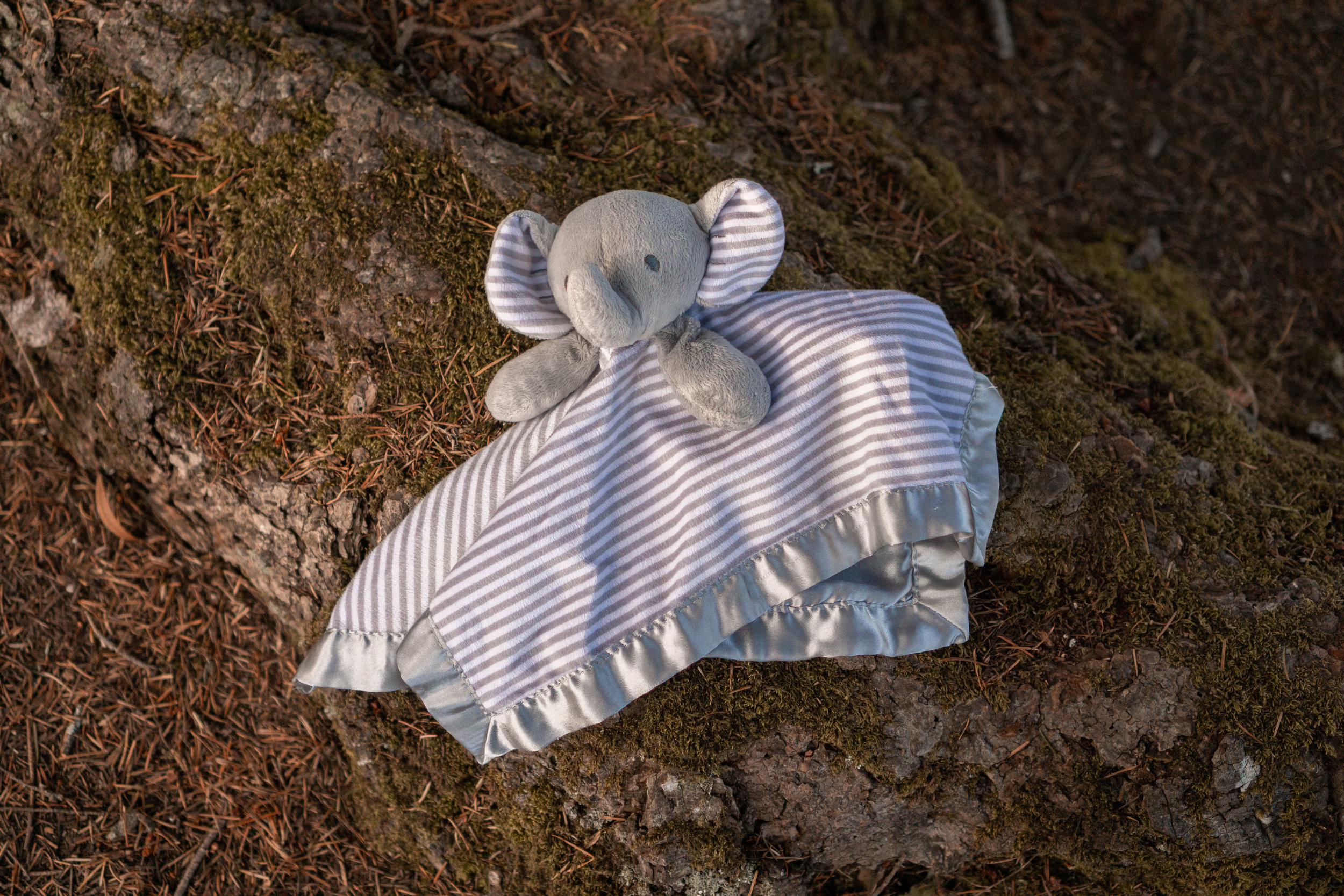 KBurnettMaternity2019-36.jpg