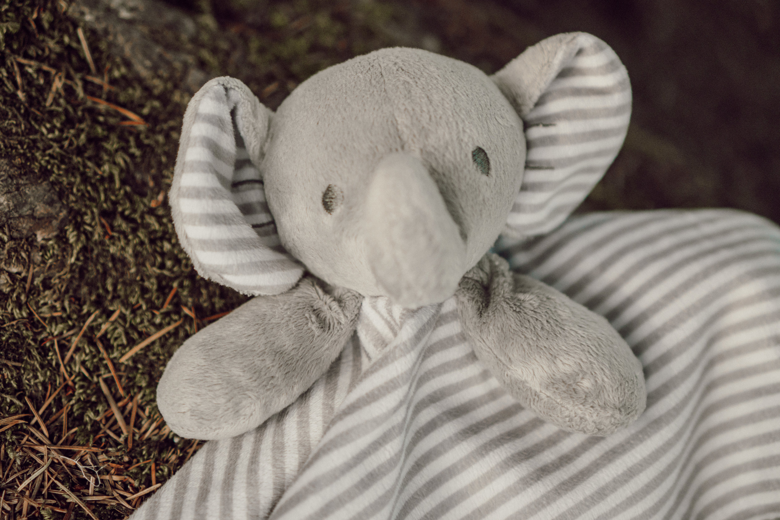 KBurnettMaternity2019-37.jpg