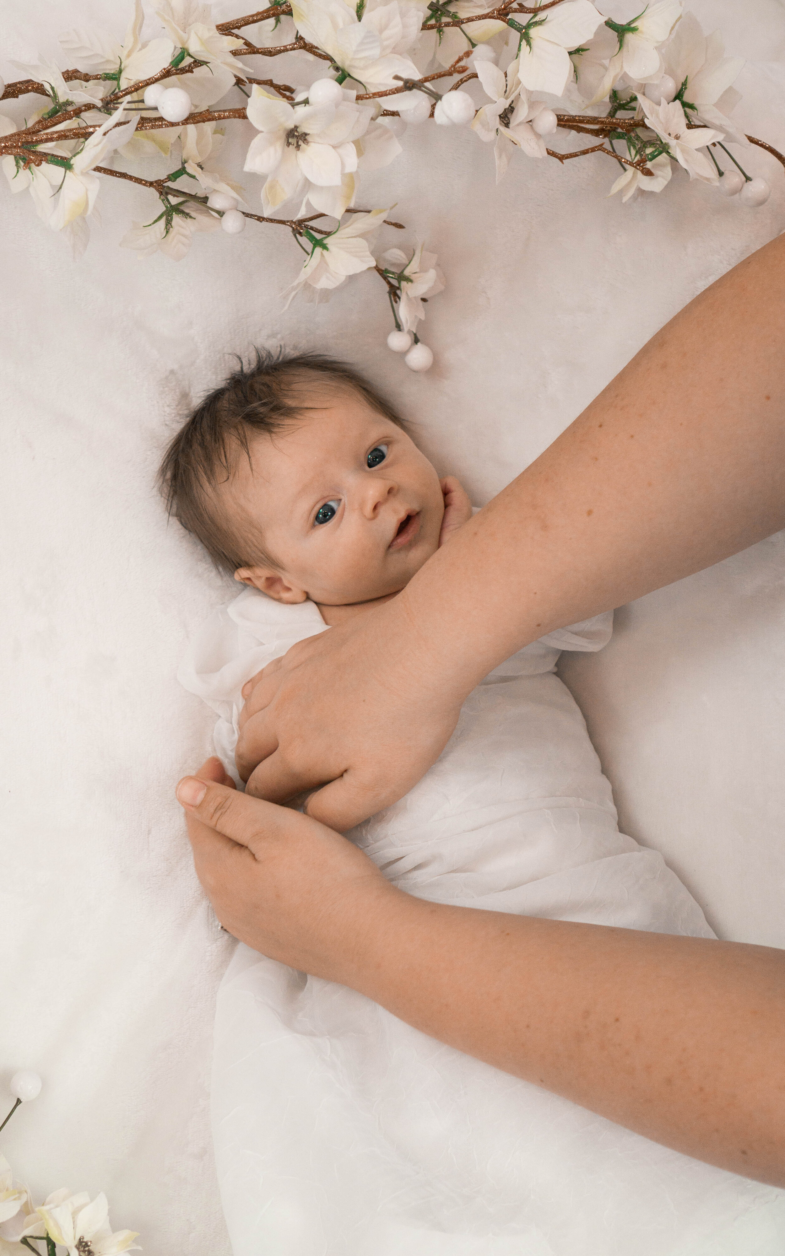 Burnett Newborn 2019-17.jpg