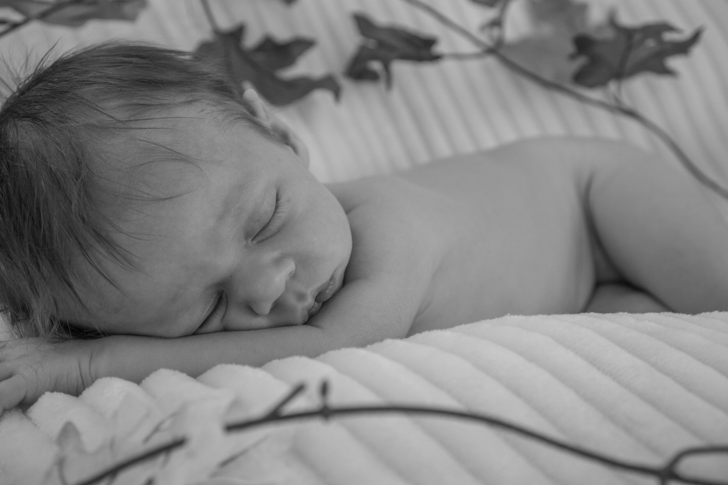 Burnett Newborn 2019-78.jpg