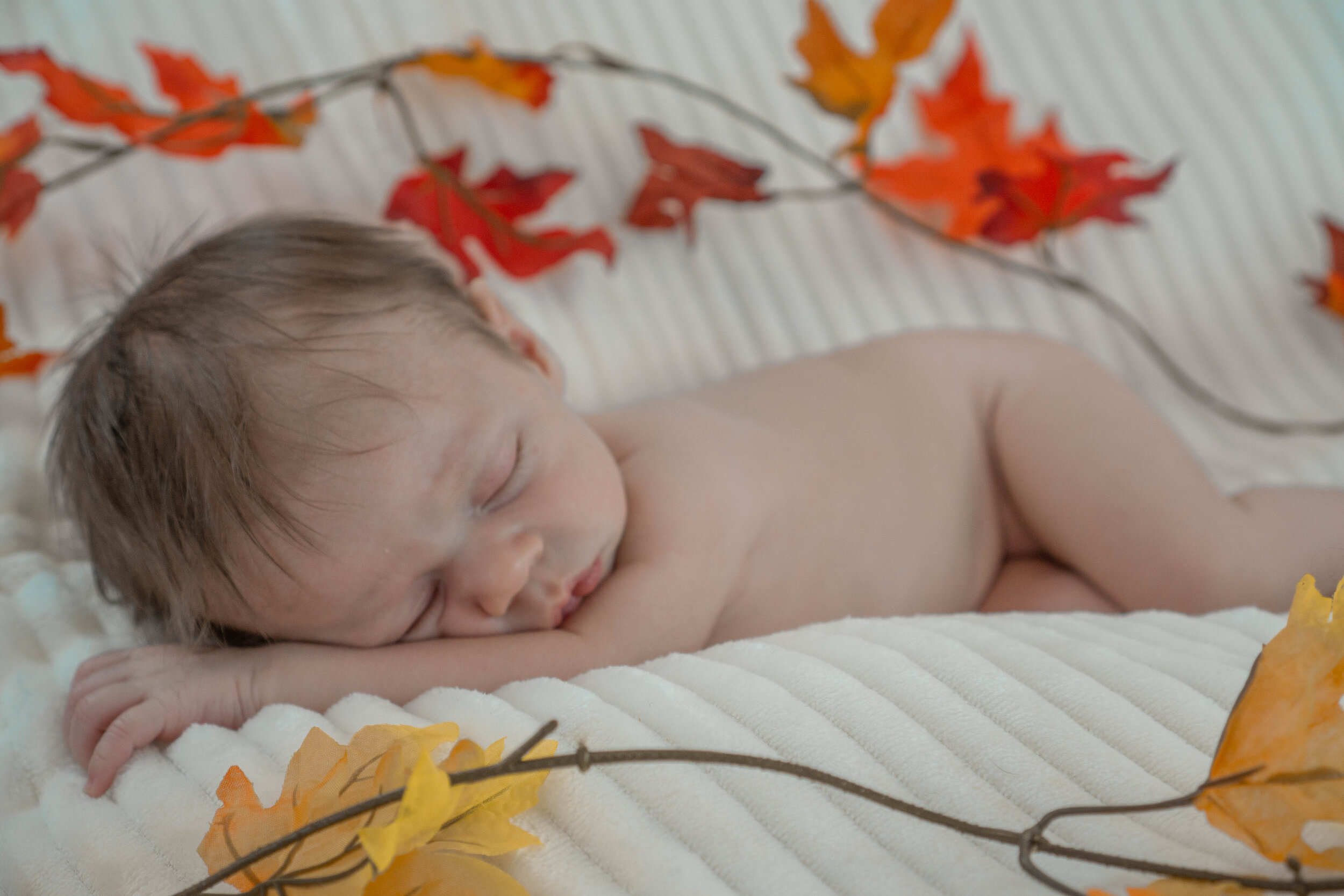 Burnett Newborn 2019-81.jpg