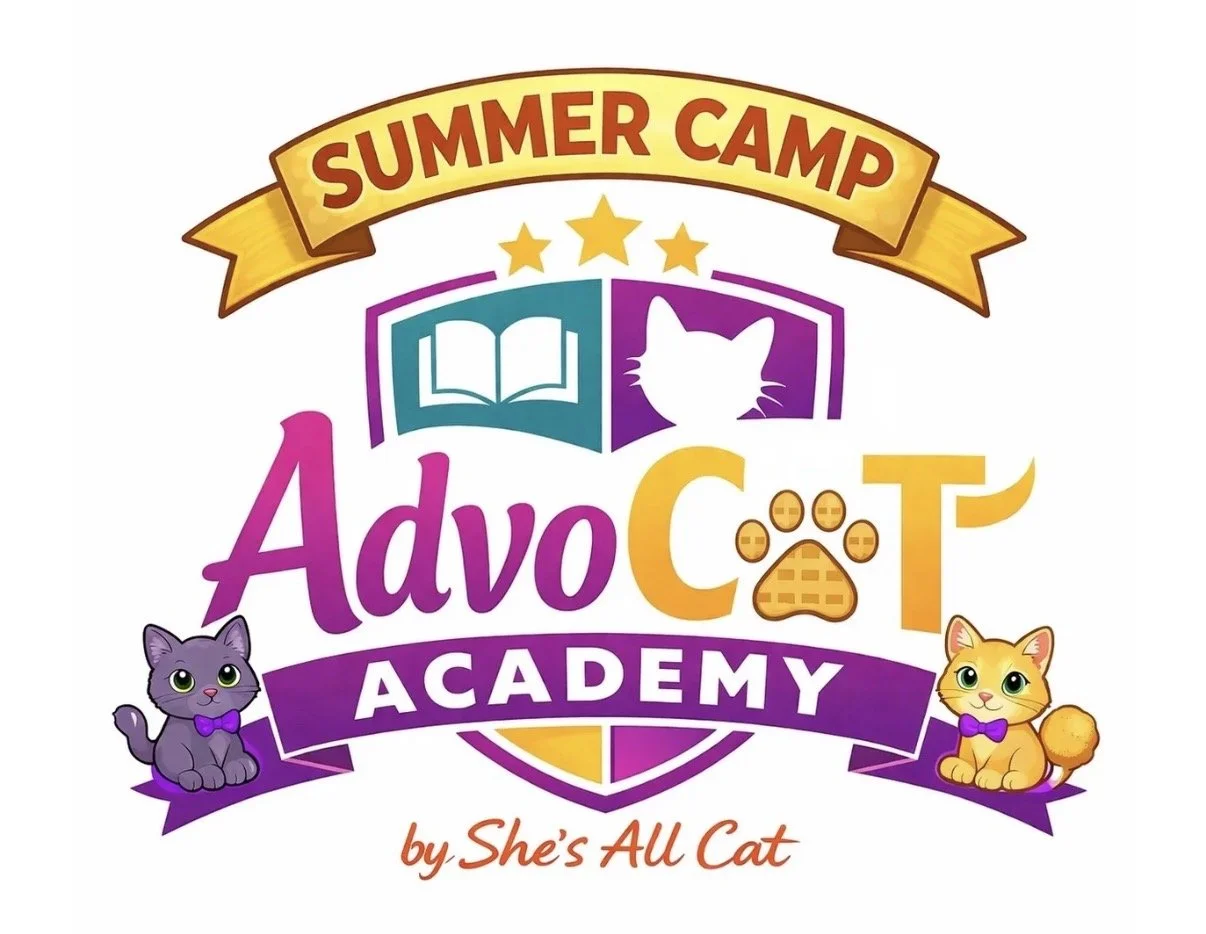 Cat Academy - Kid's Day Camp Ages 7-13 yrs 7/13-7/17 from 9am-4pm