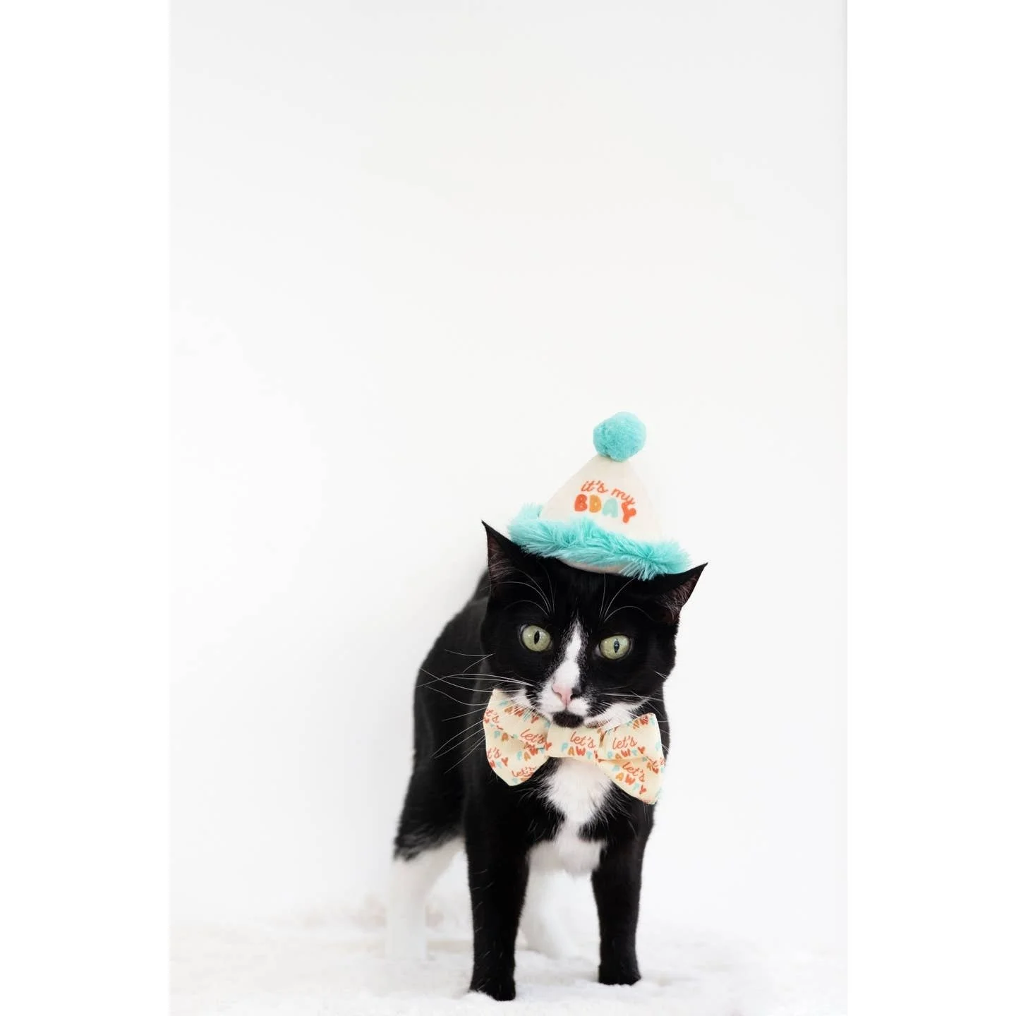 cat 2 birthday hat.jpg
