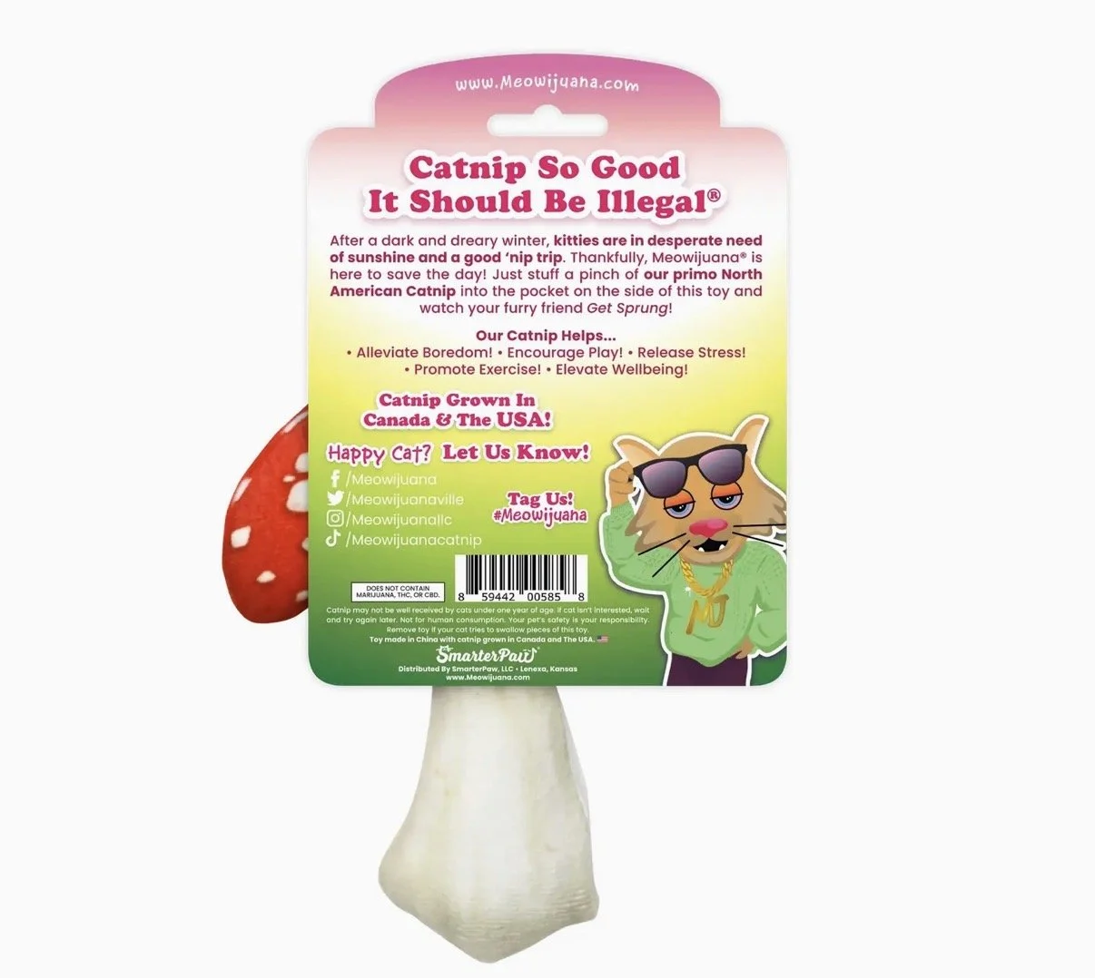 image3.jpeg