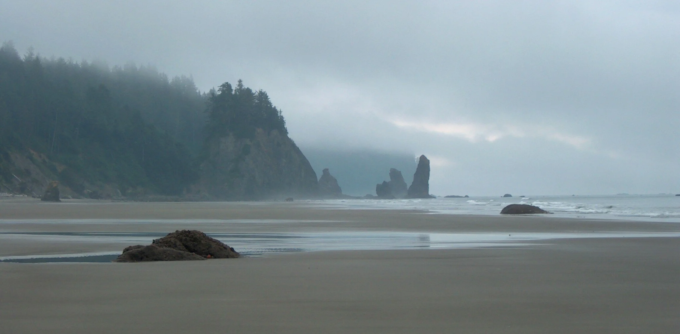 Misty_Beach_-_wide_shot_(909117936).jpg
