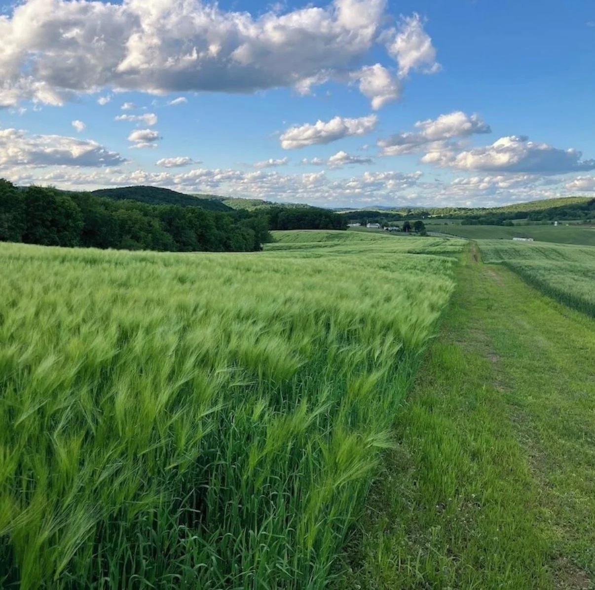 Countryside View in Clearville PA