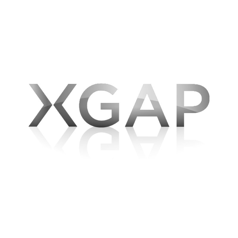 X Gap