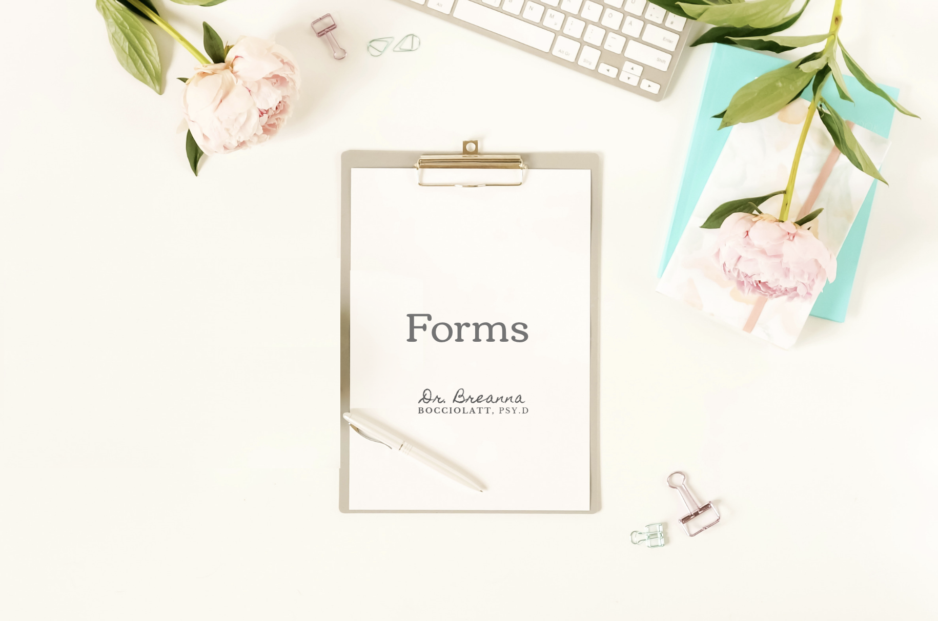 Screen Shot 2019-08-09 at 3.20.09 PM.png