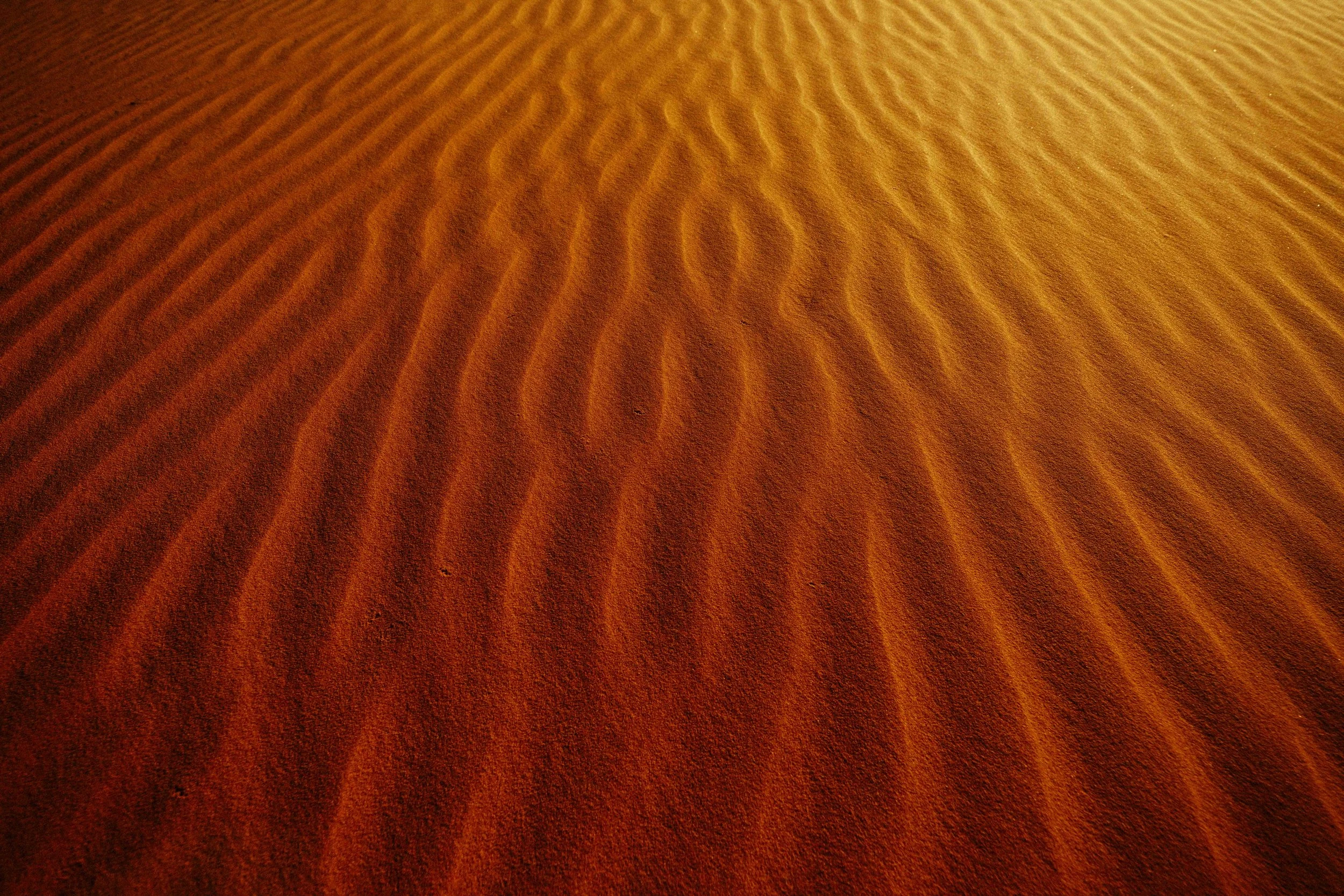 A desert landscape with rippled sand dunes, golden-brown in color, extending to the horizon.
