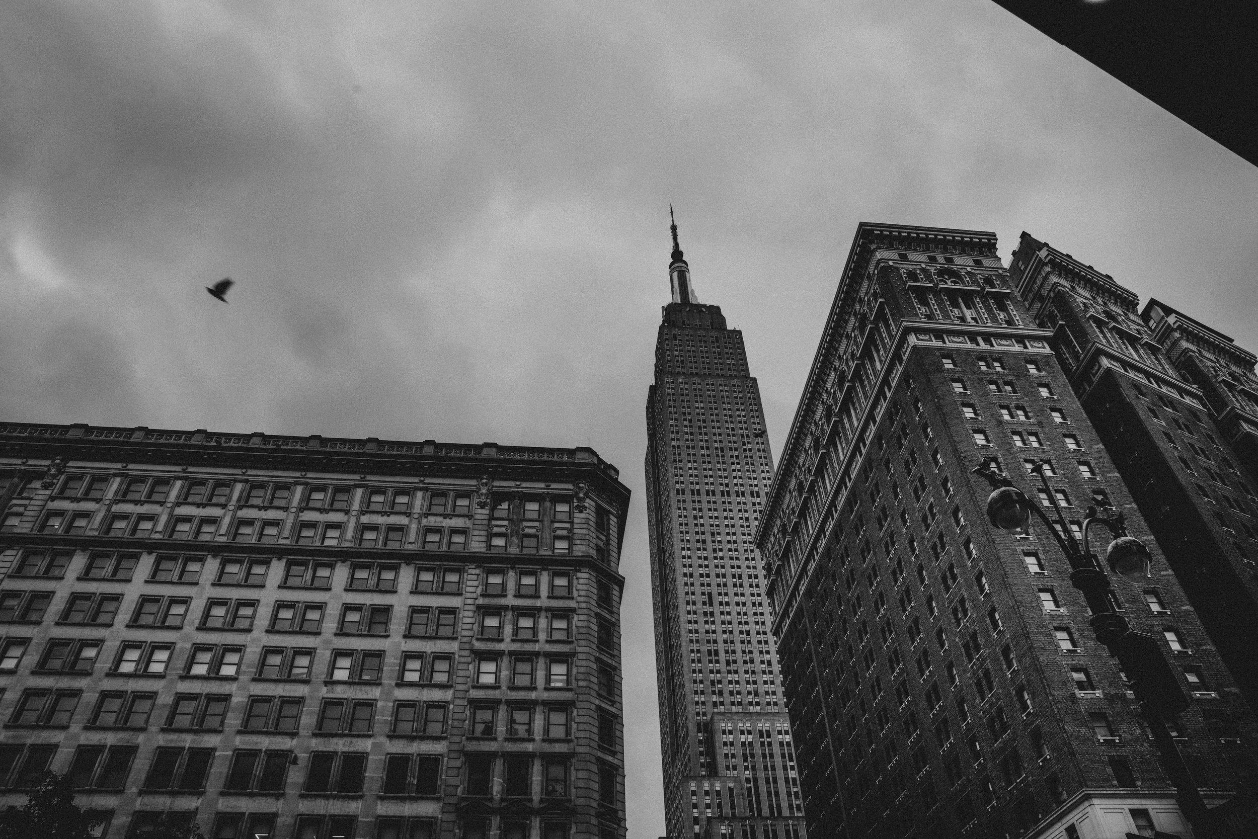 Black and white photo of New York City buildings, including the Empire State Building, with a bird flying in the sky.