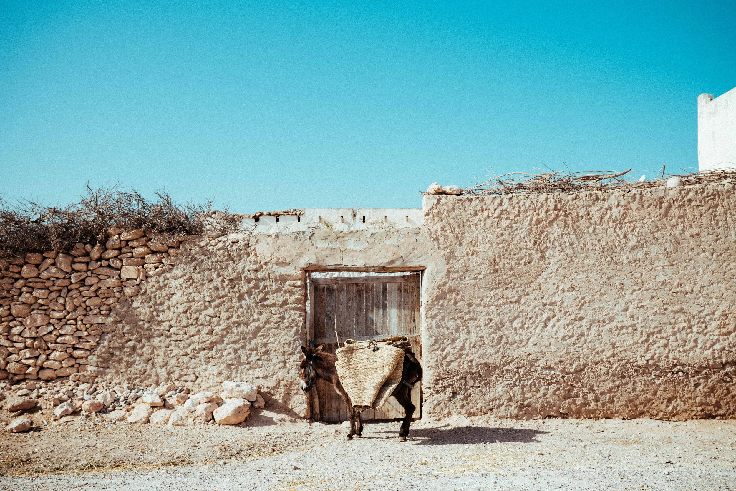A rustic adobe building with a weathered wooden door, a pile of stones on one side, and a donkey with a woven blanket standing in front, set against a clear blue sky.