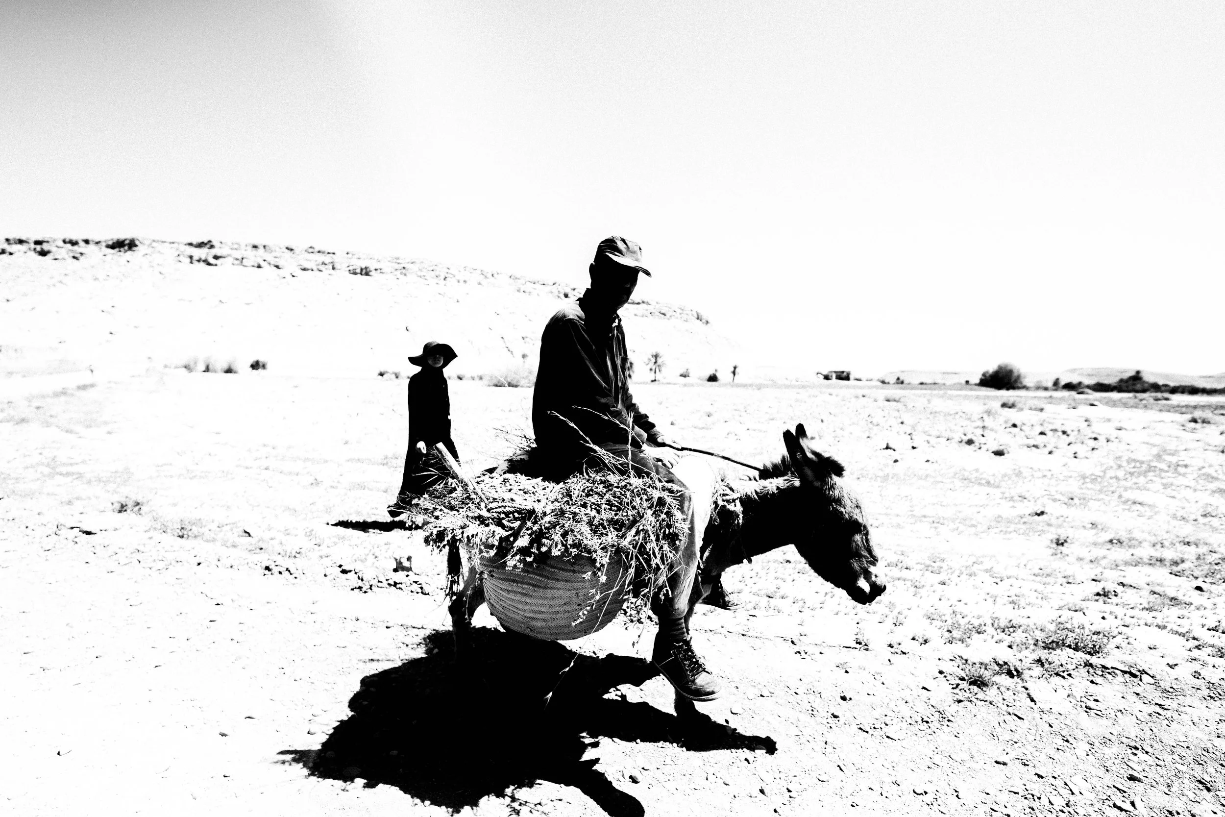 A man and a child sitting on a donkey loaded with hay in a desert landscape with sparse vegetation and a clear sky.