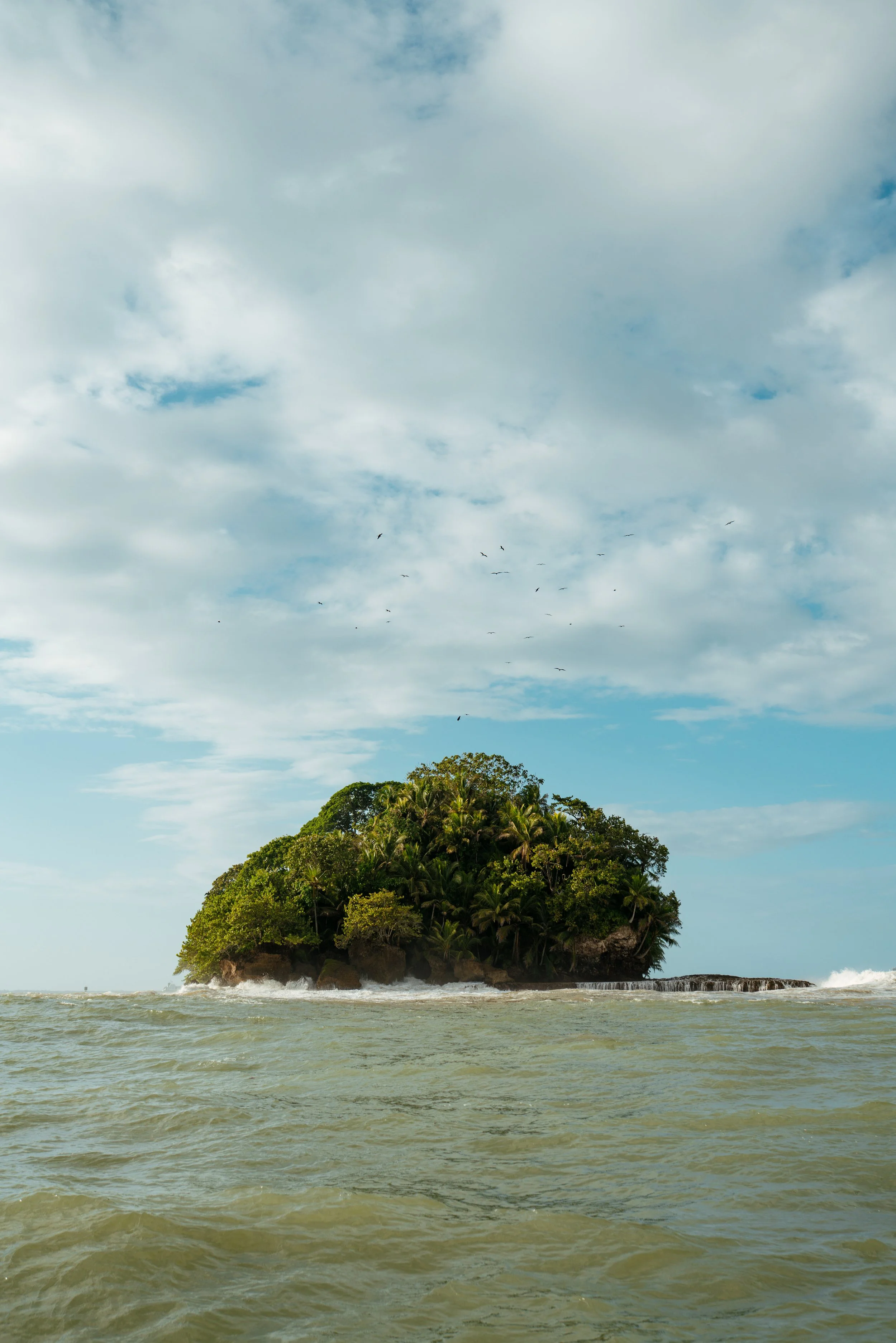 A small, lush, green tropical island in the ocean, surrounded by waves and a partly cloudy sky with birds flying overhead.