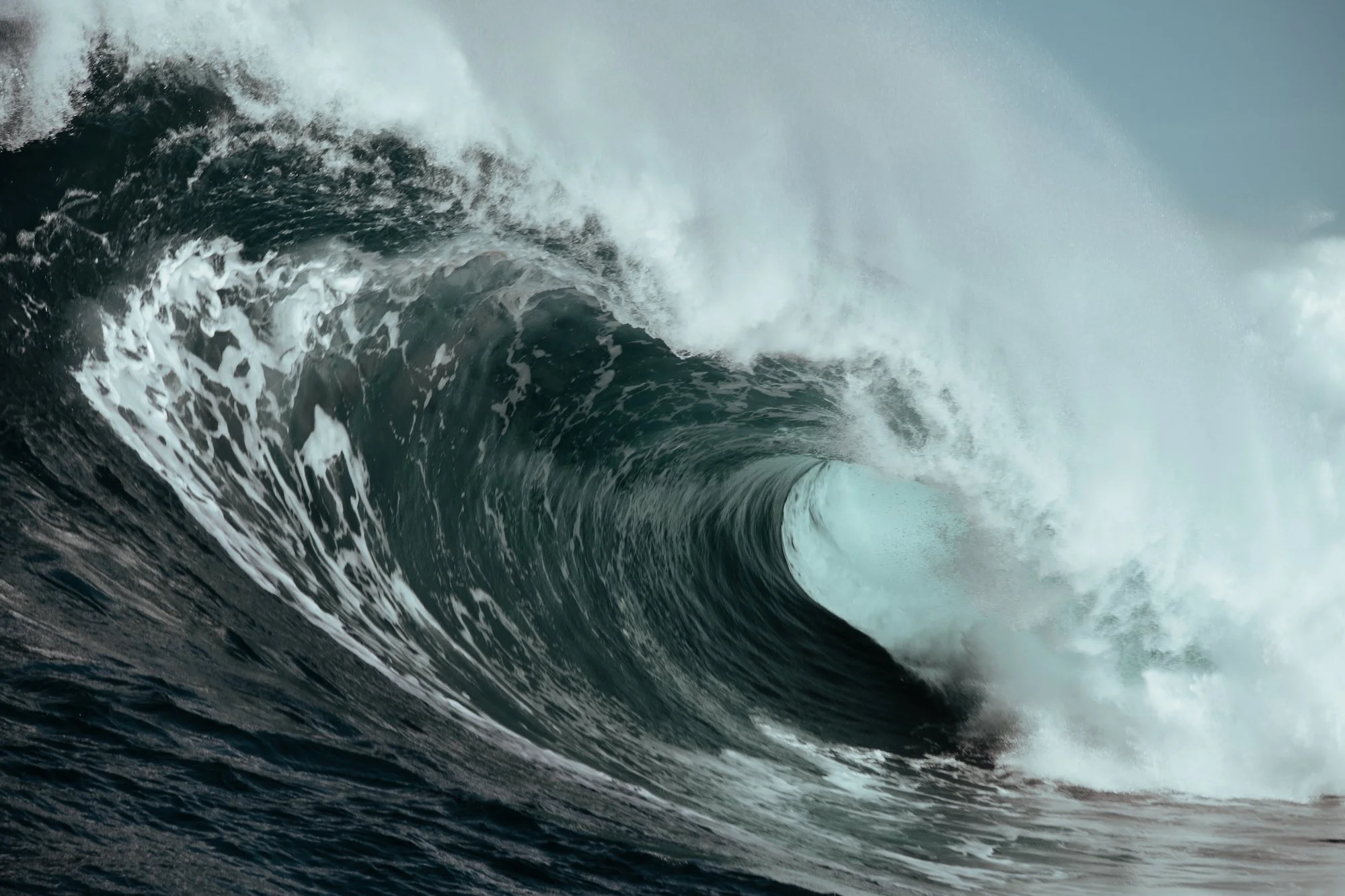 A large ocean wave curling and breaking, with white foam and spray in the air.