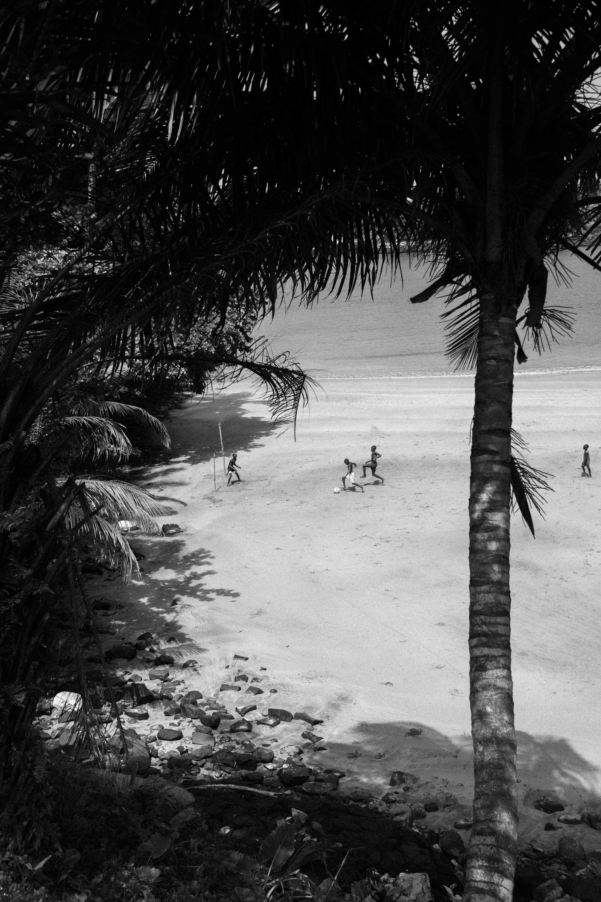 A black and white photo of a beach with a group of children playing soccer near the shoreline, framed by palm trees in the foreground.