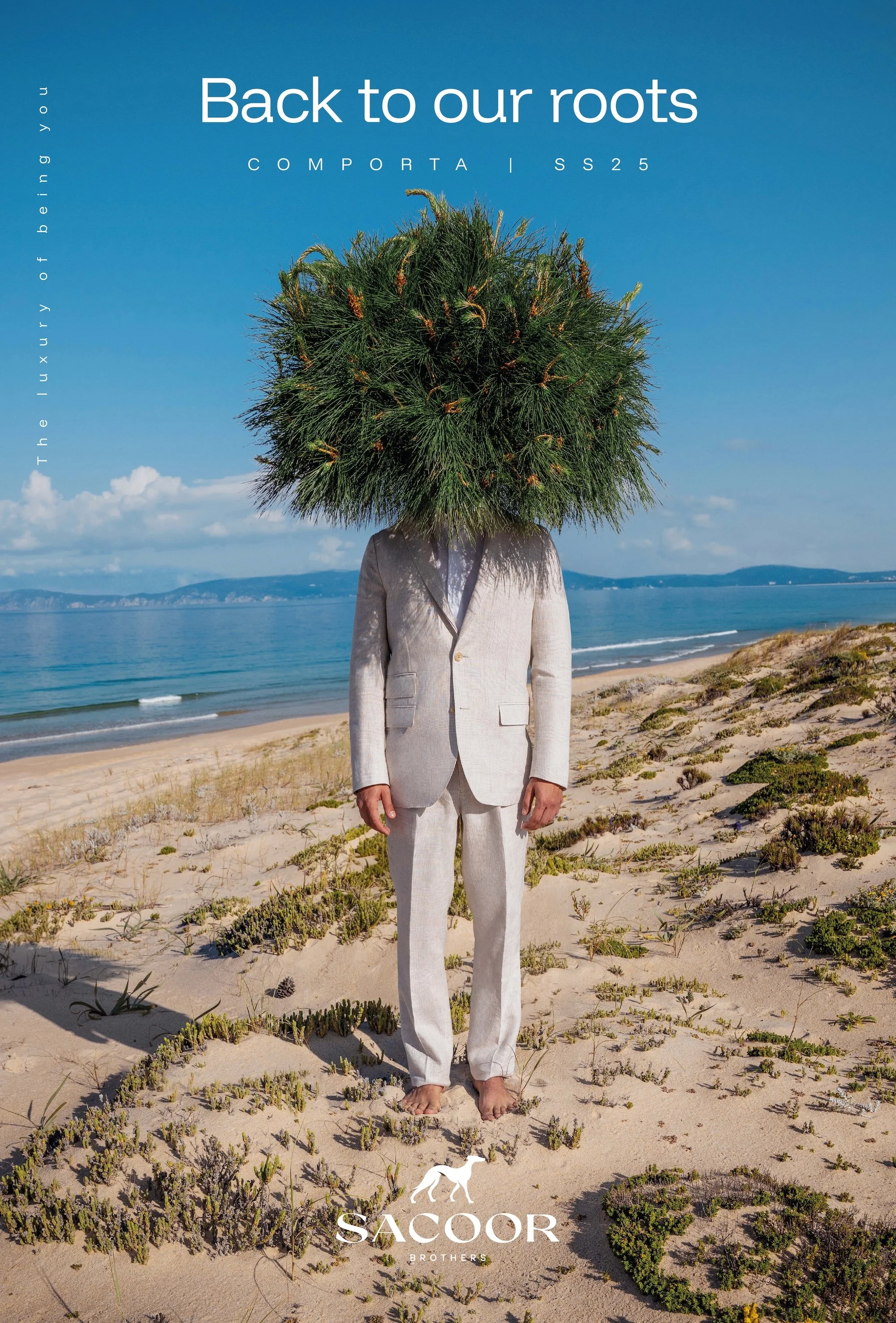 A person dressed in a beige suit standing barefoot on sandy beach with small green plants, ocean, and blue sky in the background. The person's head is replaced by a large green pine tree. The text 'Back to our roots' appears at the top, with 'COMPORA