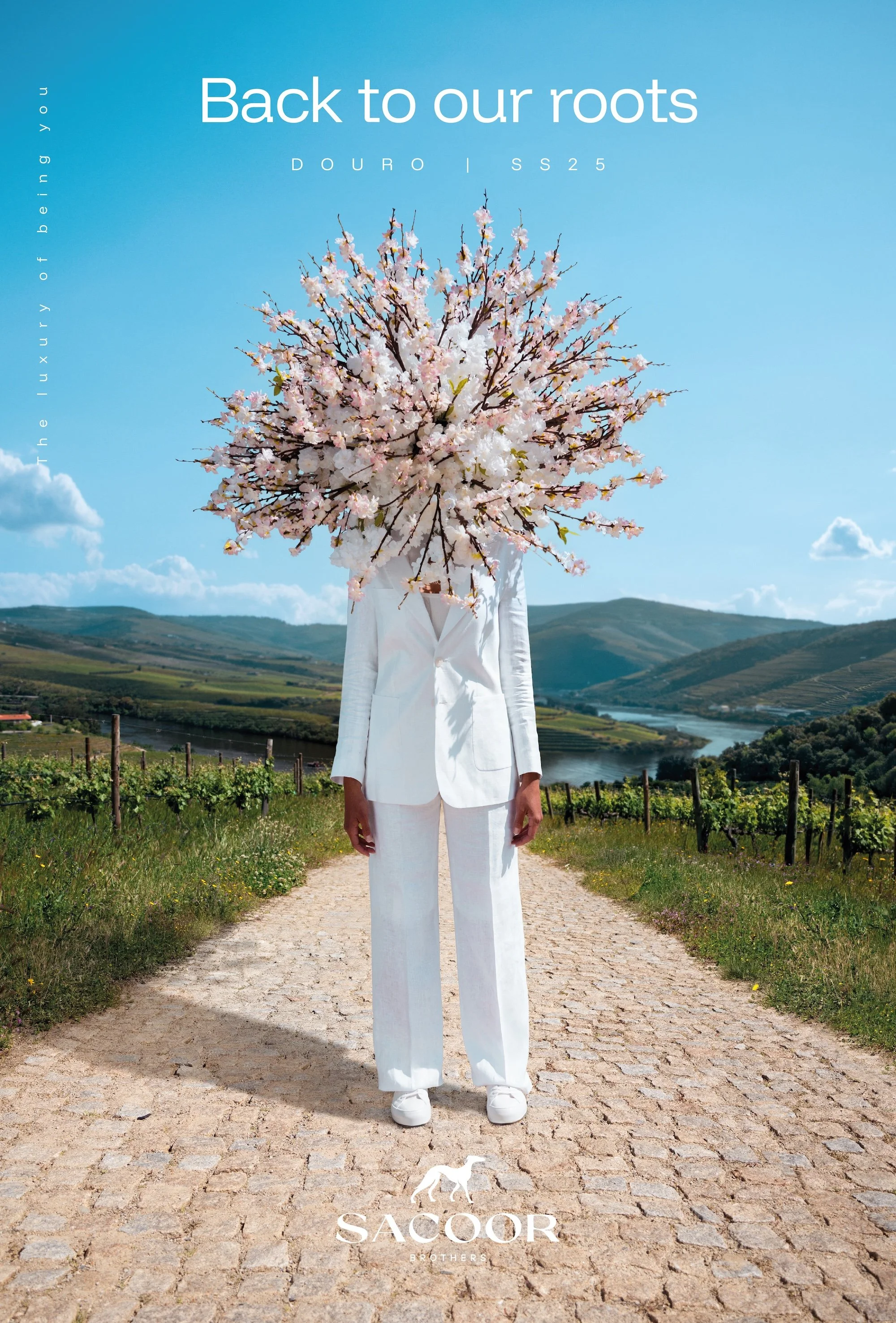 A person in white clothing standing on a dirt path in a rural landscape under a blue sky, holding a large bouquet of pink and white cherry blossoms in front of their head. The background features rolling hills, a river, and vineyards.
