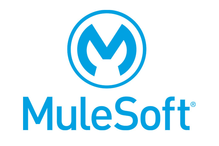 mulesoft-5.jpg