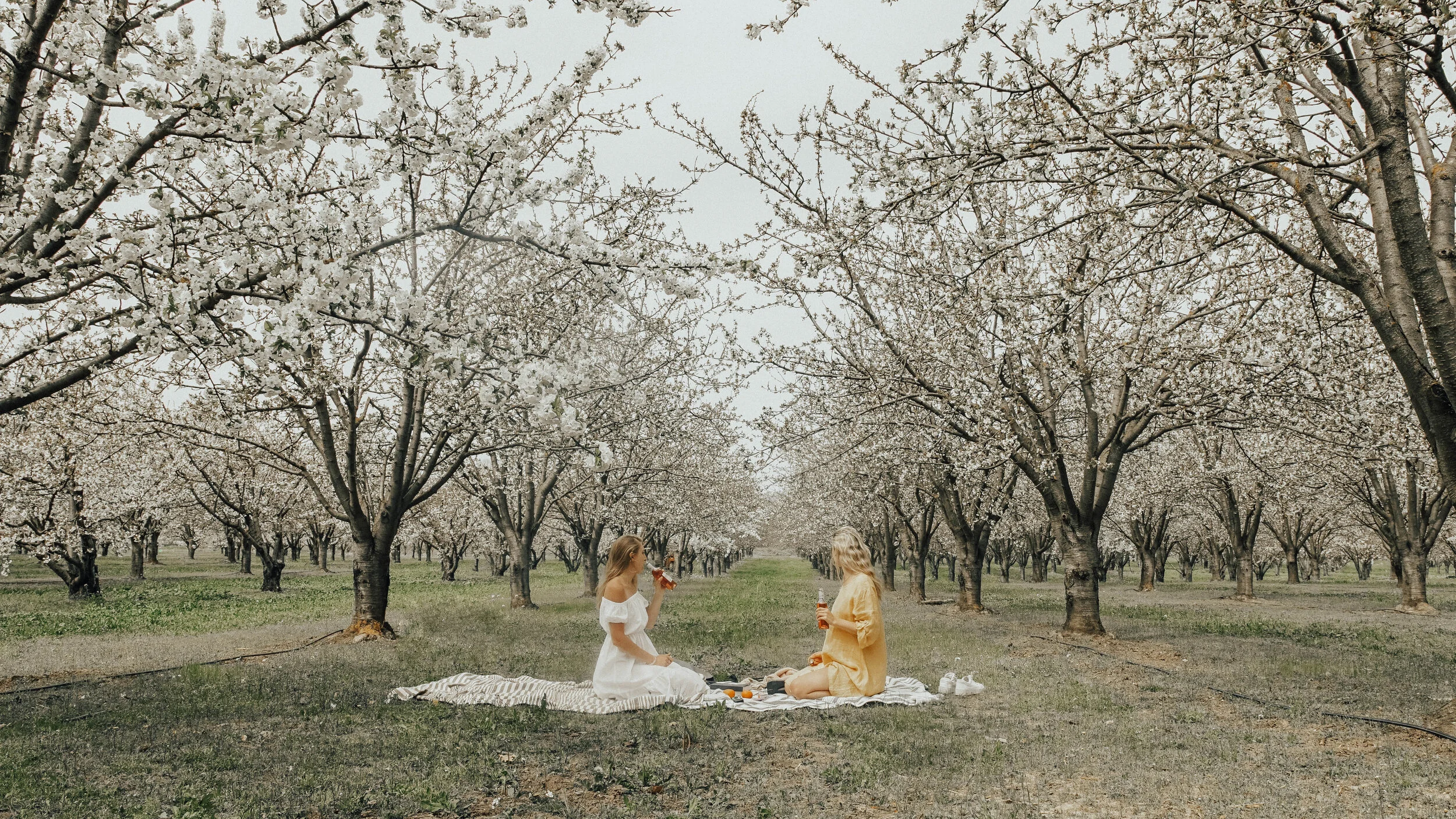  Model: Gracie McNabb and Maia Bertrand  Stylist and Photographer: Georgia Roberts-VanNewkirk 