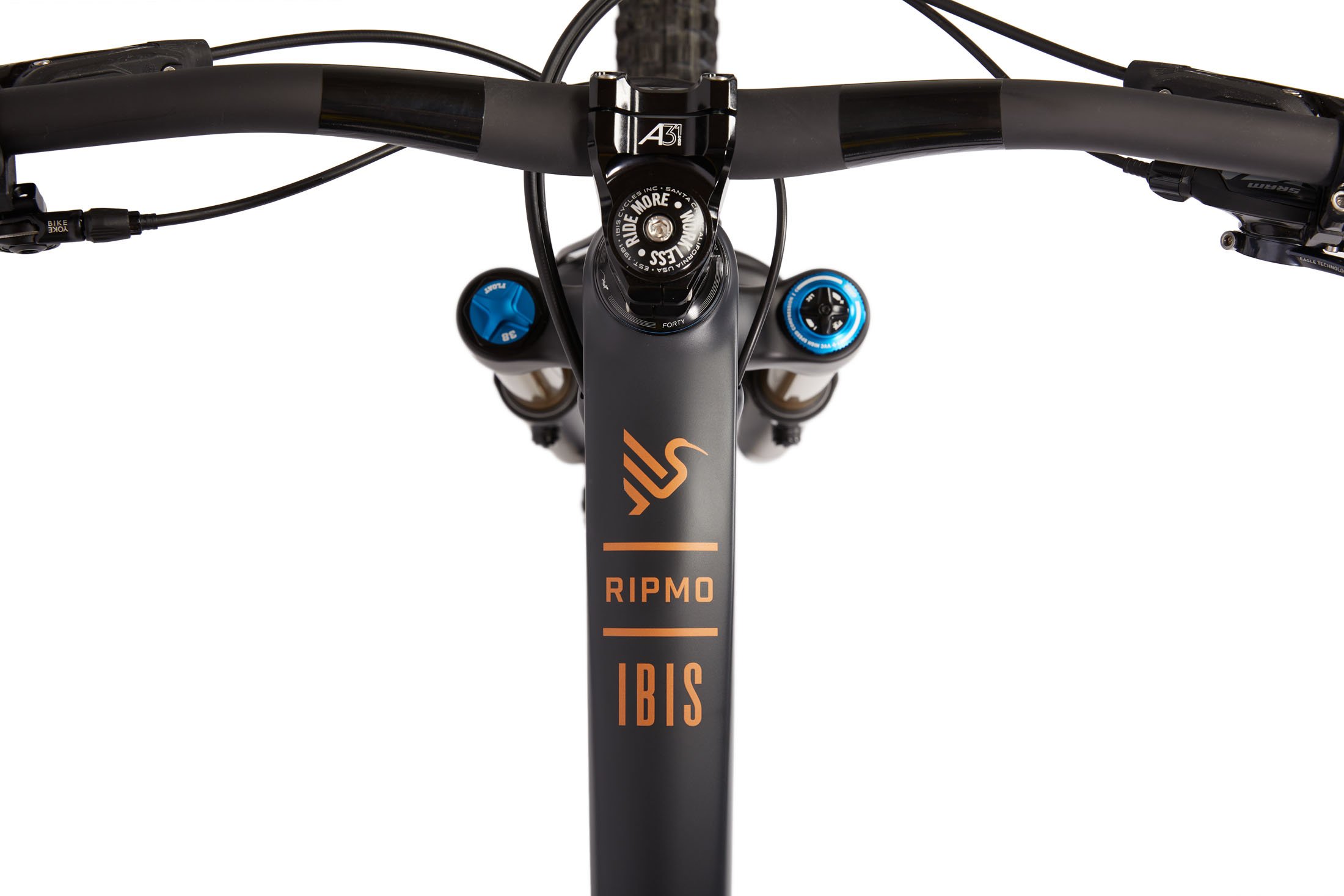 Ibis_Ripmo_V2S_EnduroCell_TopTube.jpg