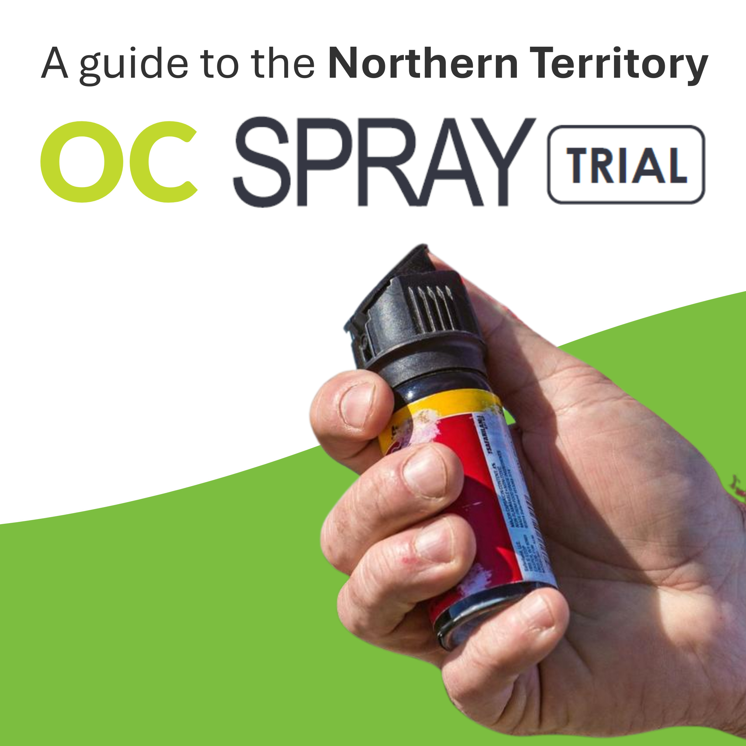 Untitled design (11).png