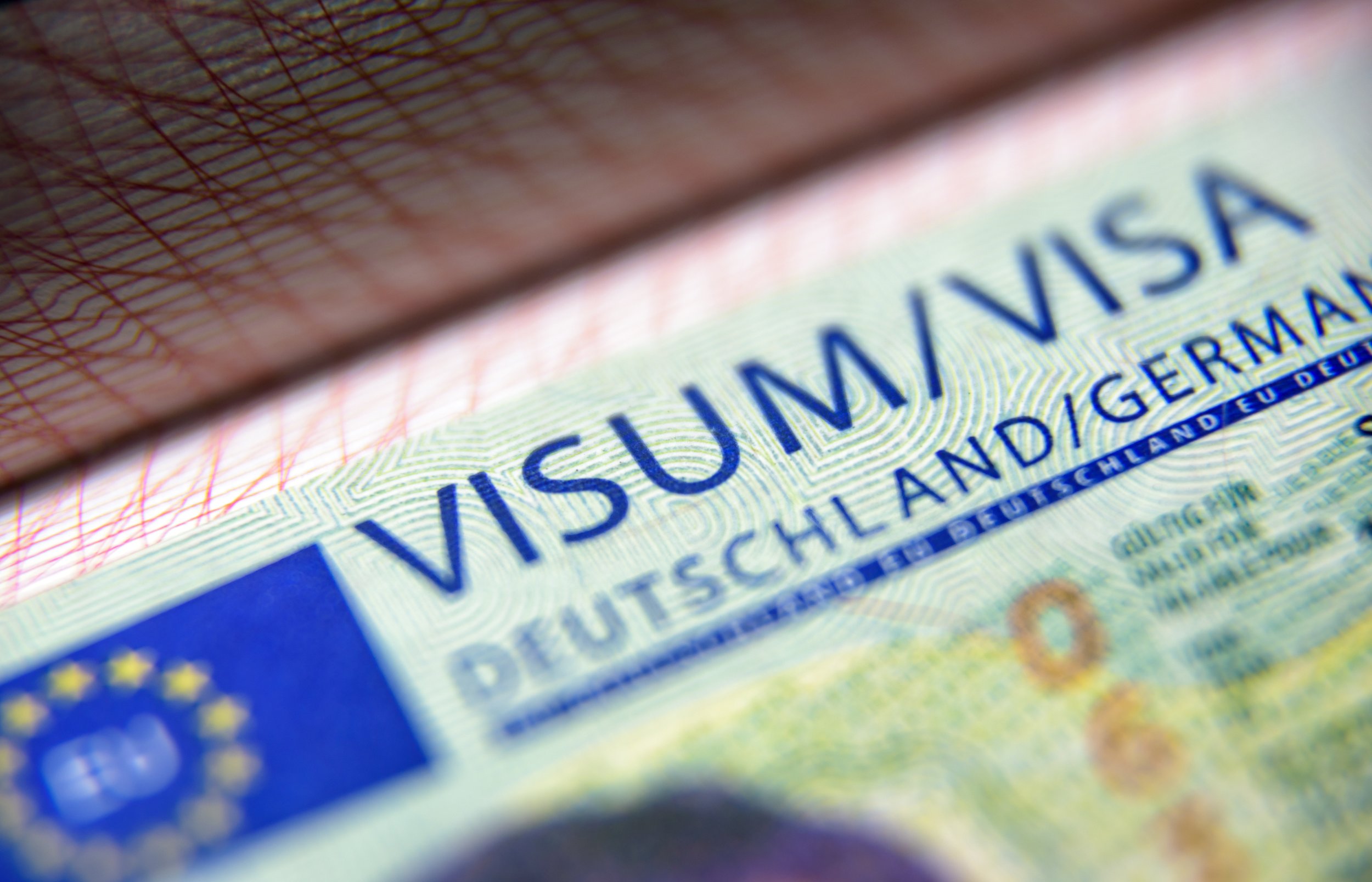 the travel visa company