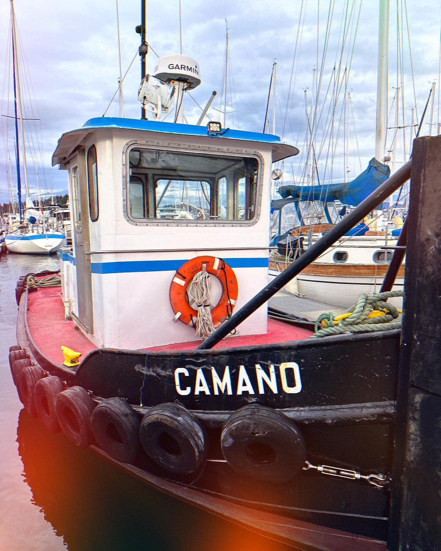 Saw this lil cutie at the marina today.