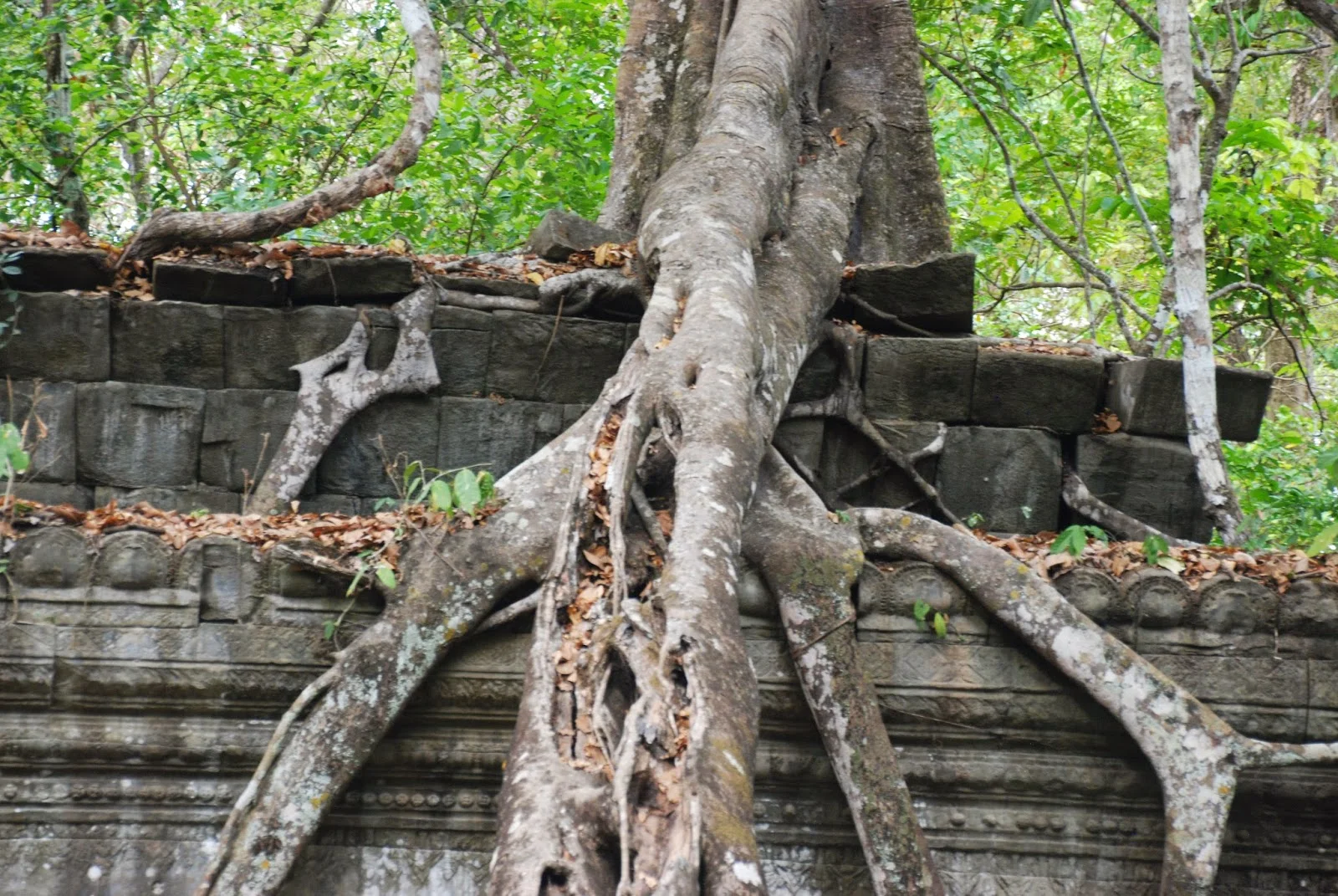 The Sounds of....Silence?