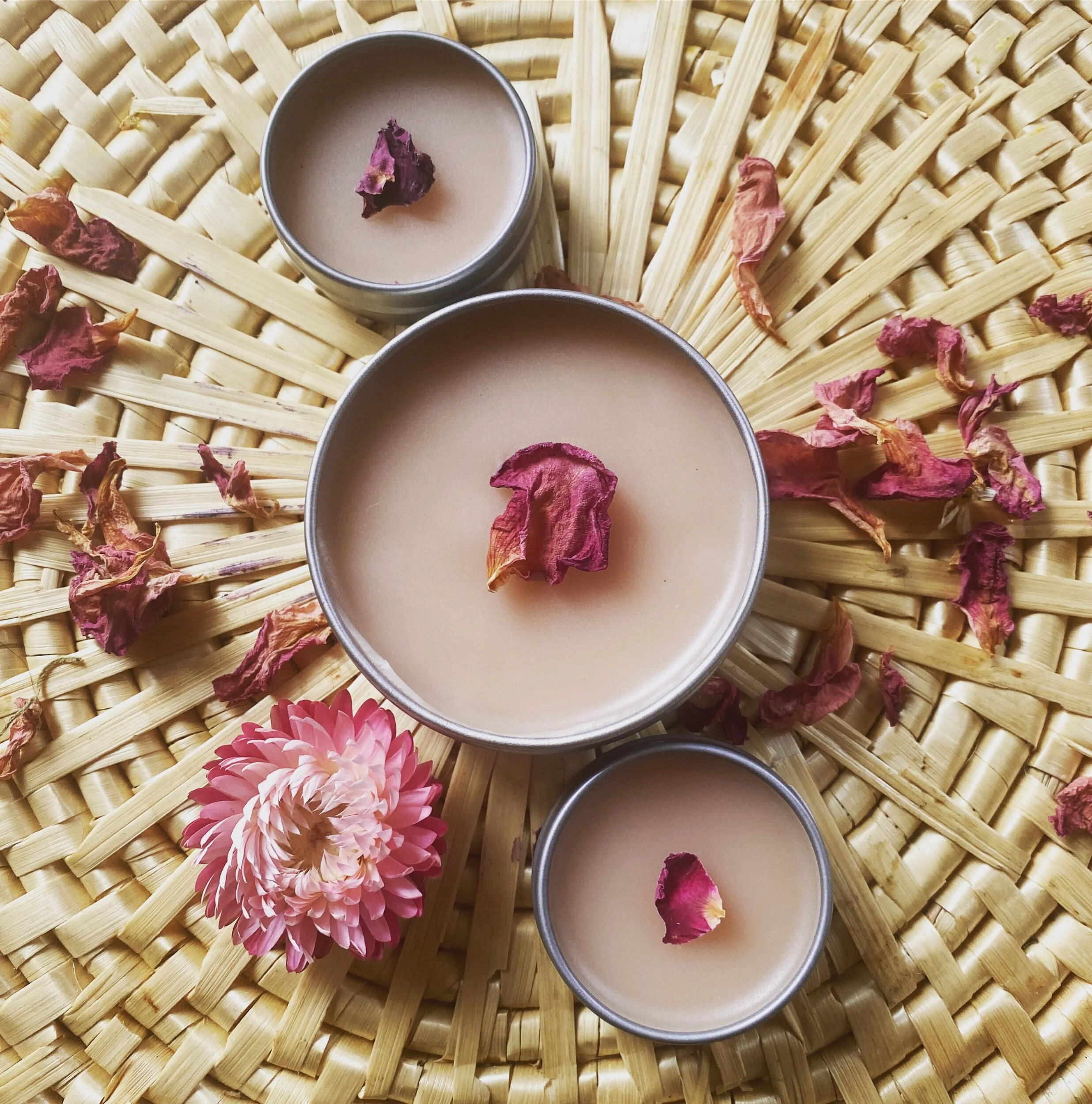 E4E3AEFE-7165-434D-8367-6D00543265B6