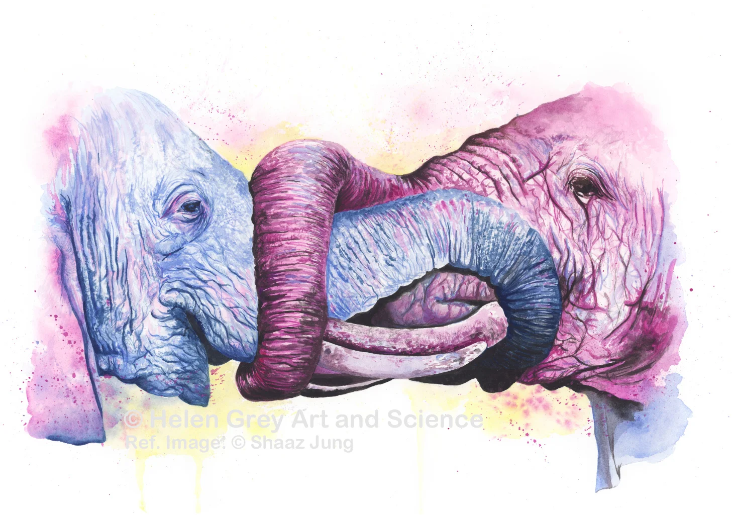 Hold me close_copyright.jpg