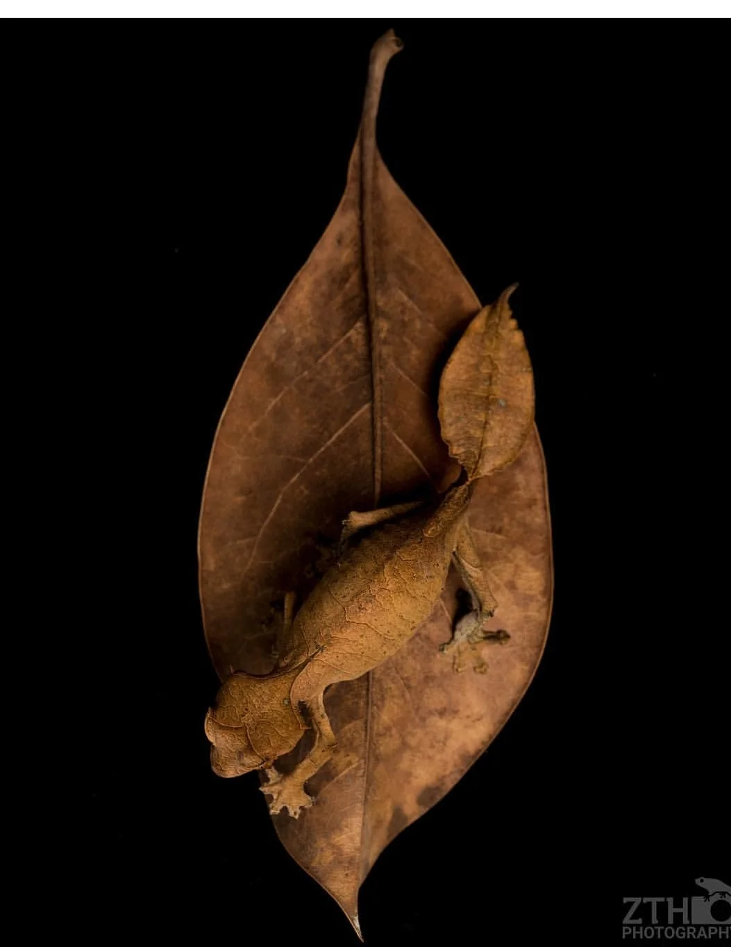 Zac Herr_ZTHPhotography_iammakingart39.jpg