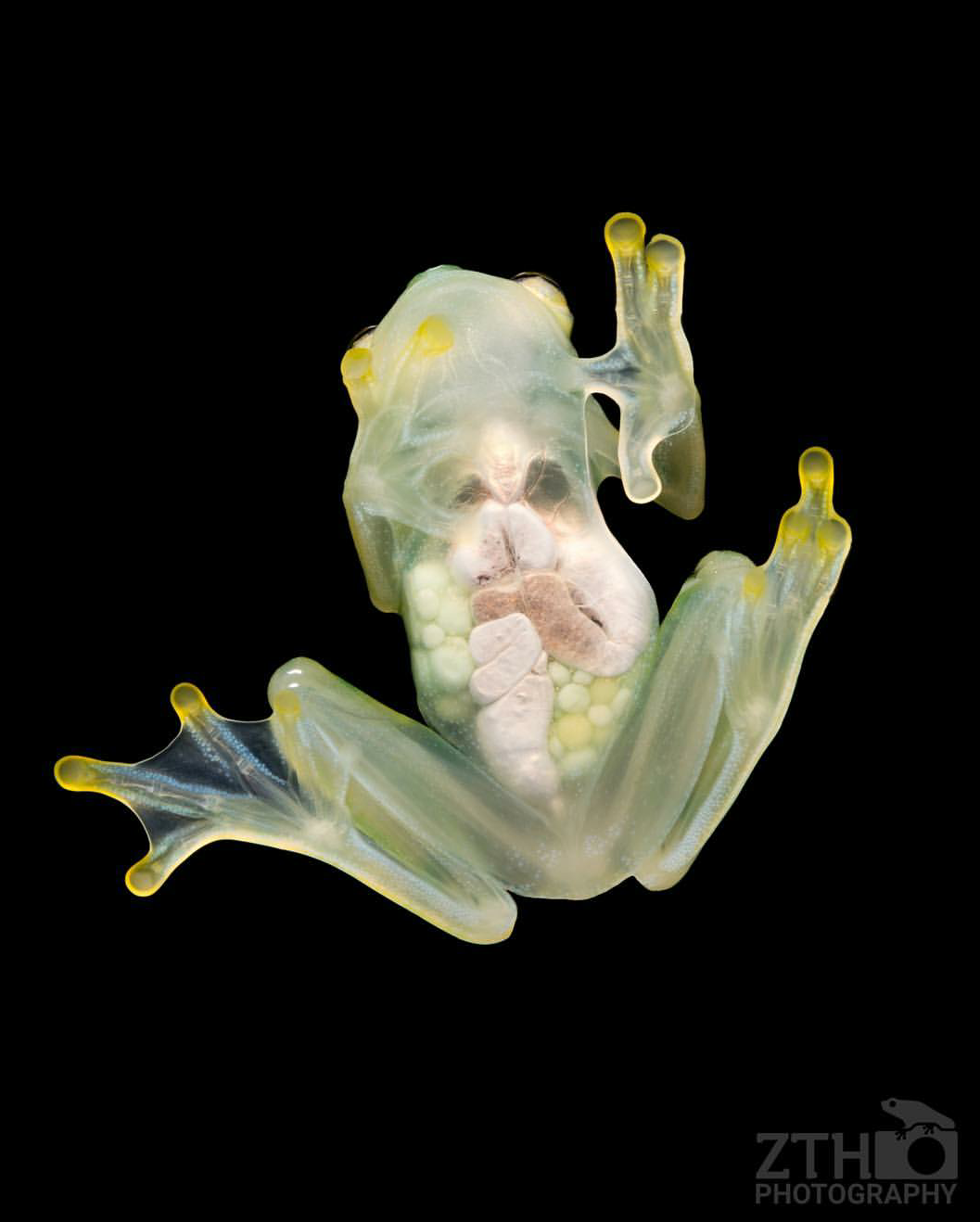 Zac Herr_ZTHPhotography_iammakingart5.png