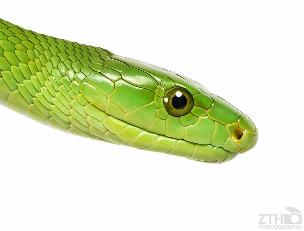 Zac Herr_ZTHPhotography_iammakingart34.png