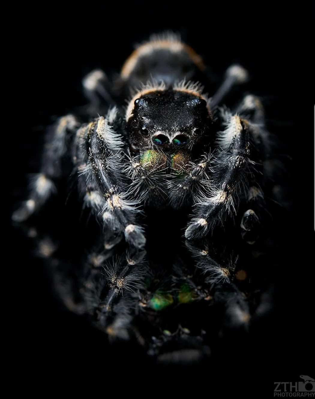 Zac Herr_ZTHPhotography_iammakingart40.jpg