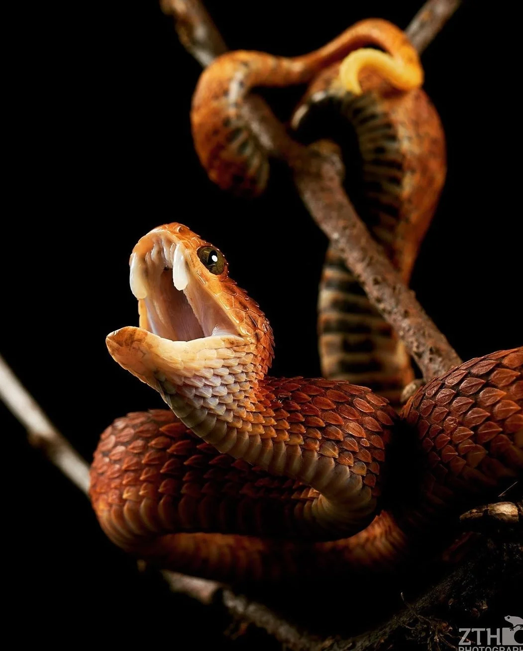 Zac Herr_ZTHPhotography_iammakingart41.jpg