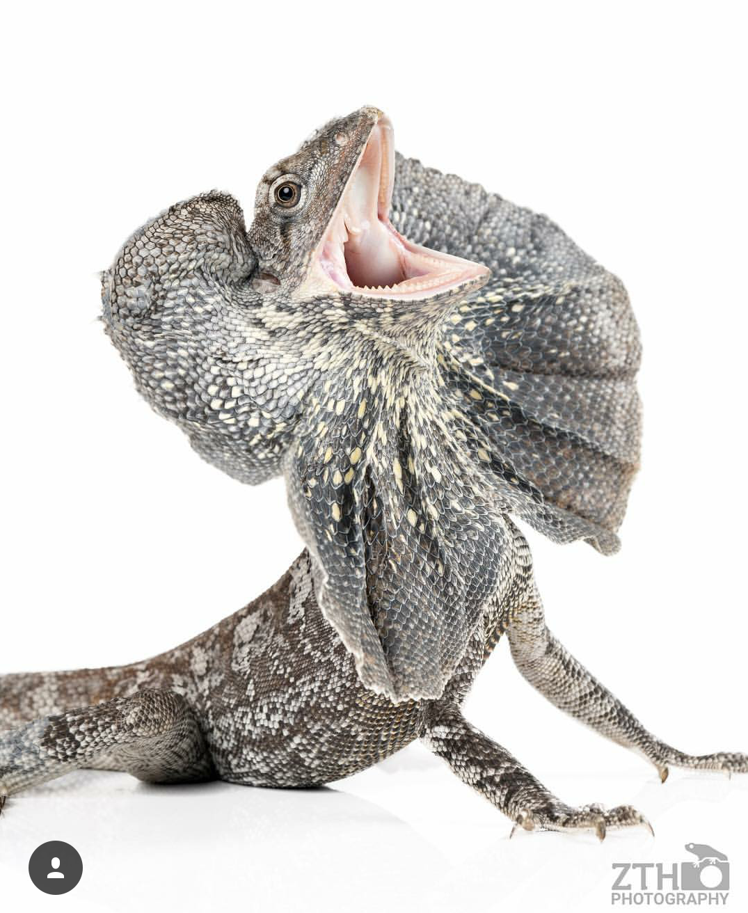 Zac Herr_ZTHPhotography_iammakingart27.png